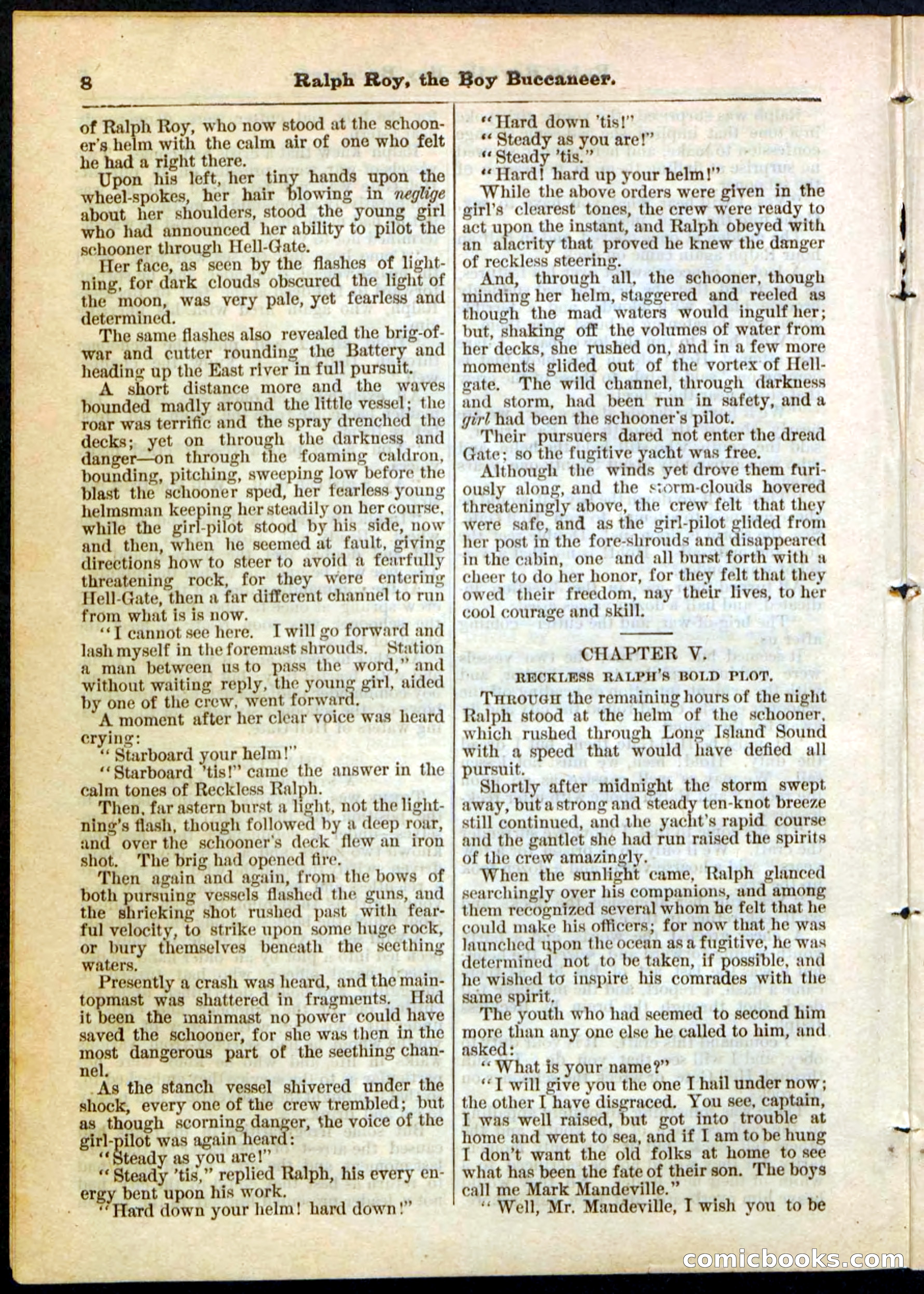 Beadle's Pocket Library No. 11 — page 8 of 32