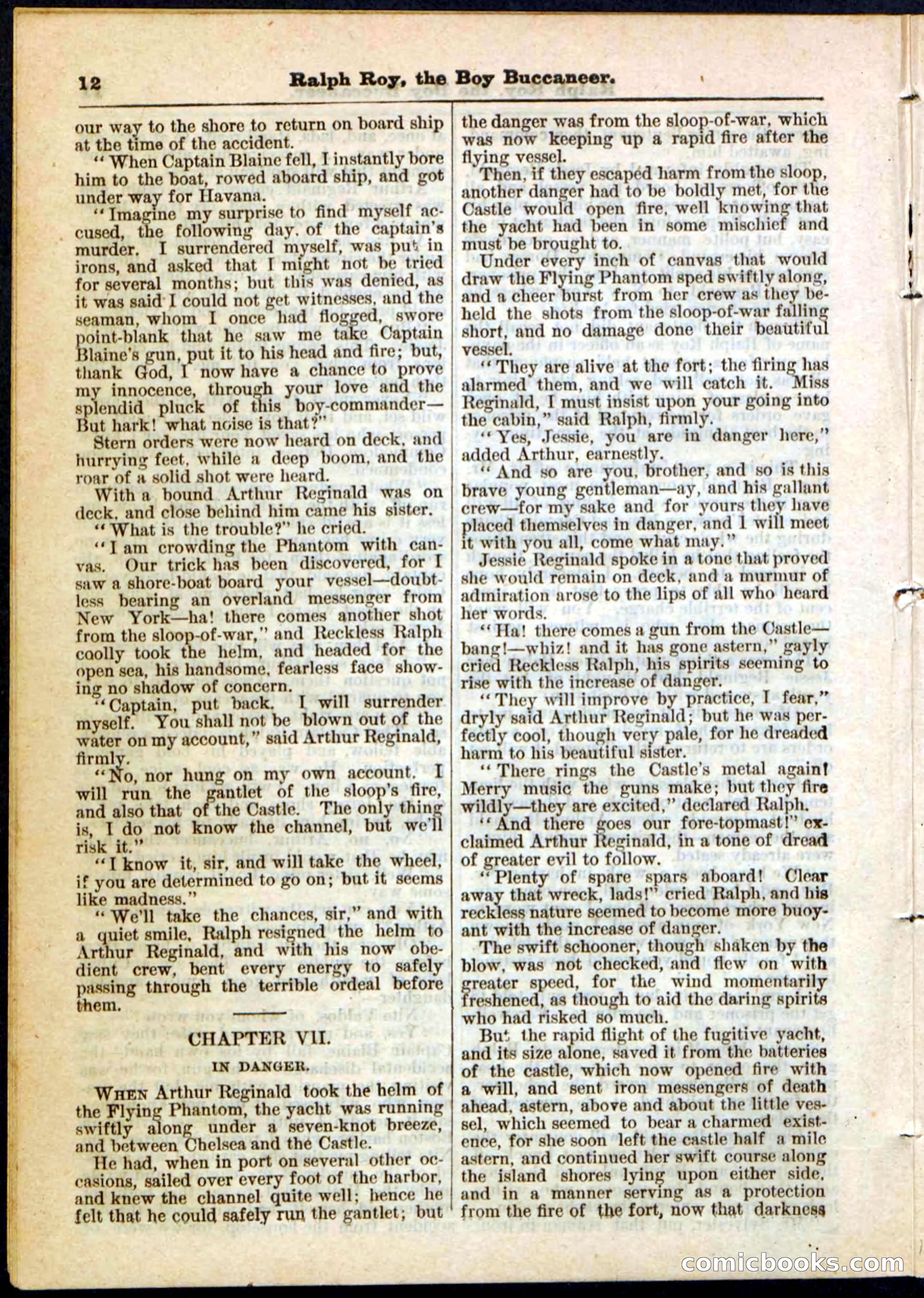 Beadle's Pocket Library No. 11 — page 12 of 32