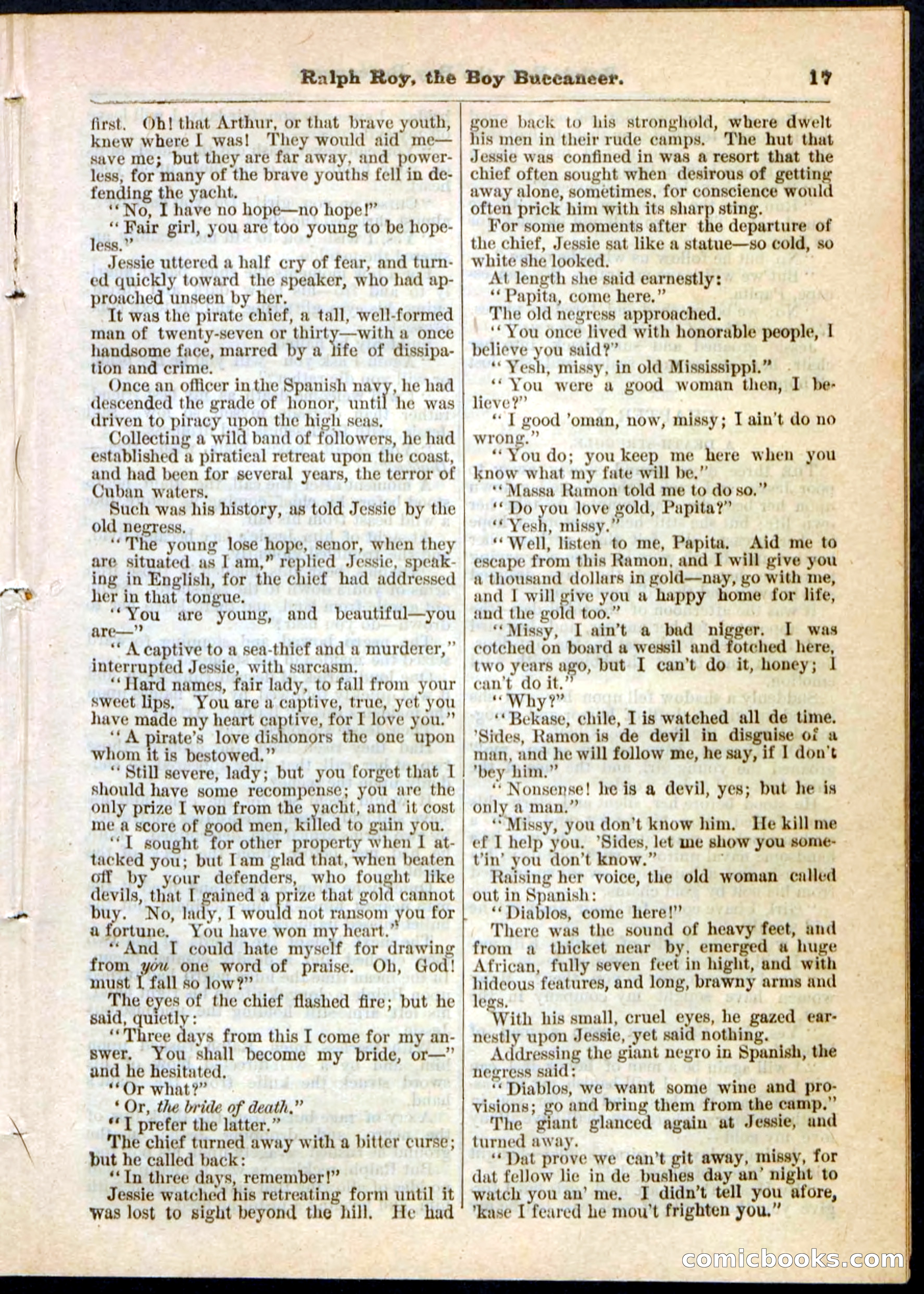 Beadle's Pocket Library No. 11 — page 17 of 32