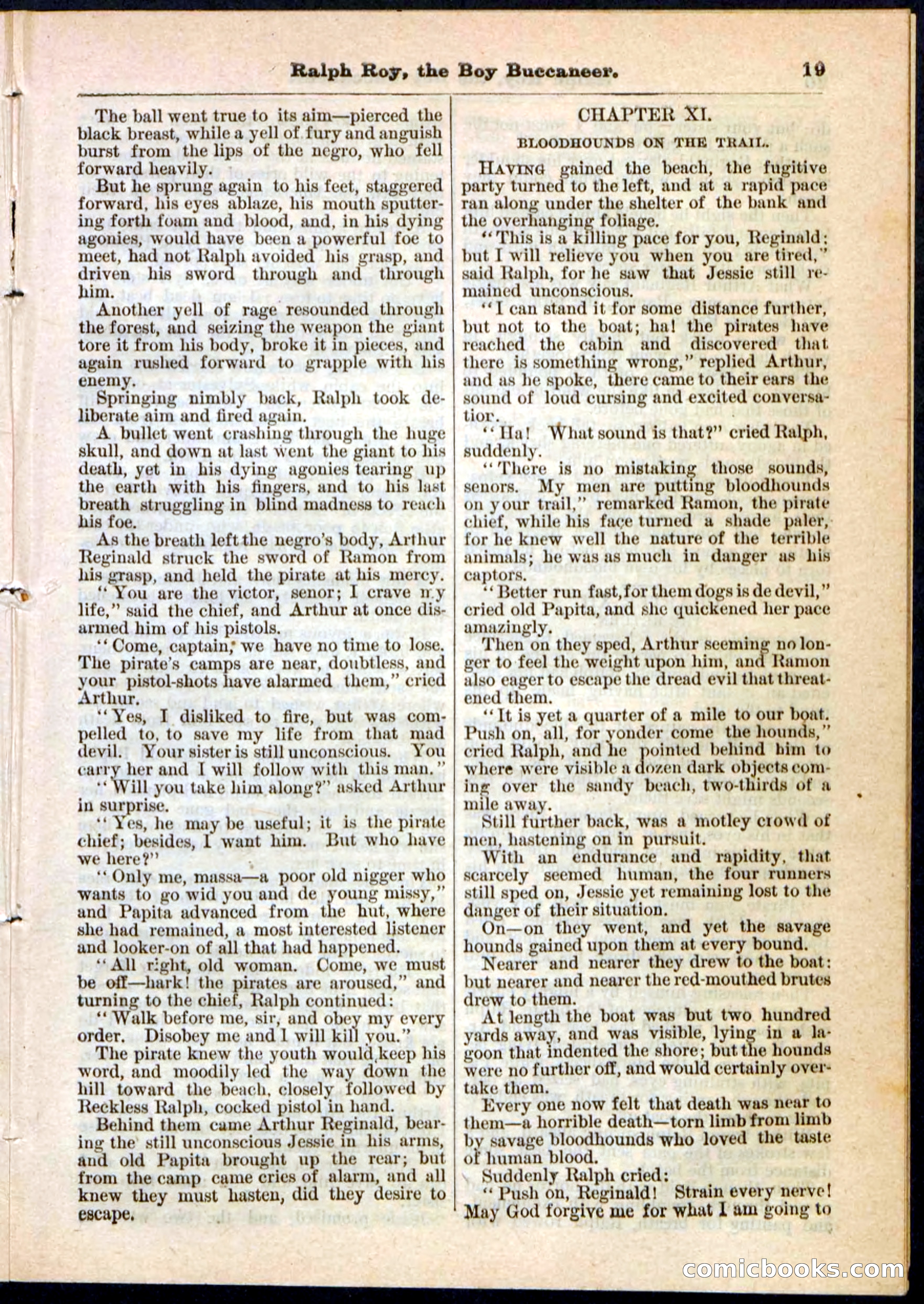 Beadle's Pocket Library No. 11 — page 19 of 32