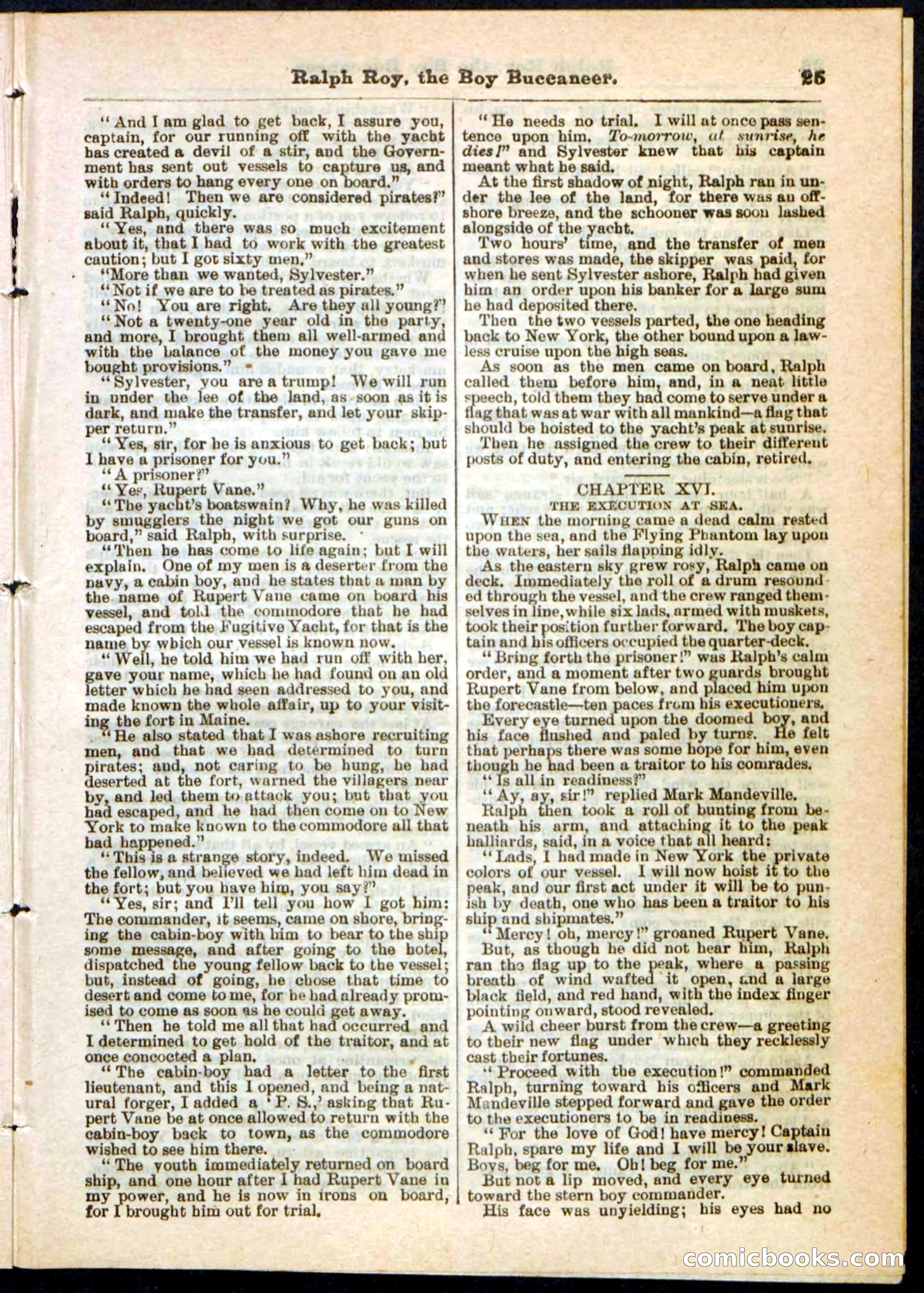 Beadle's Pocket Library No. 11 — page 25 of 32