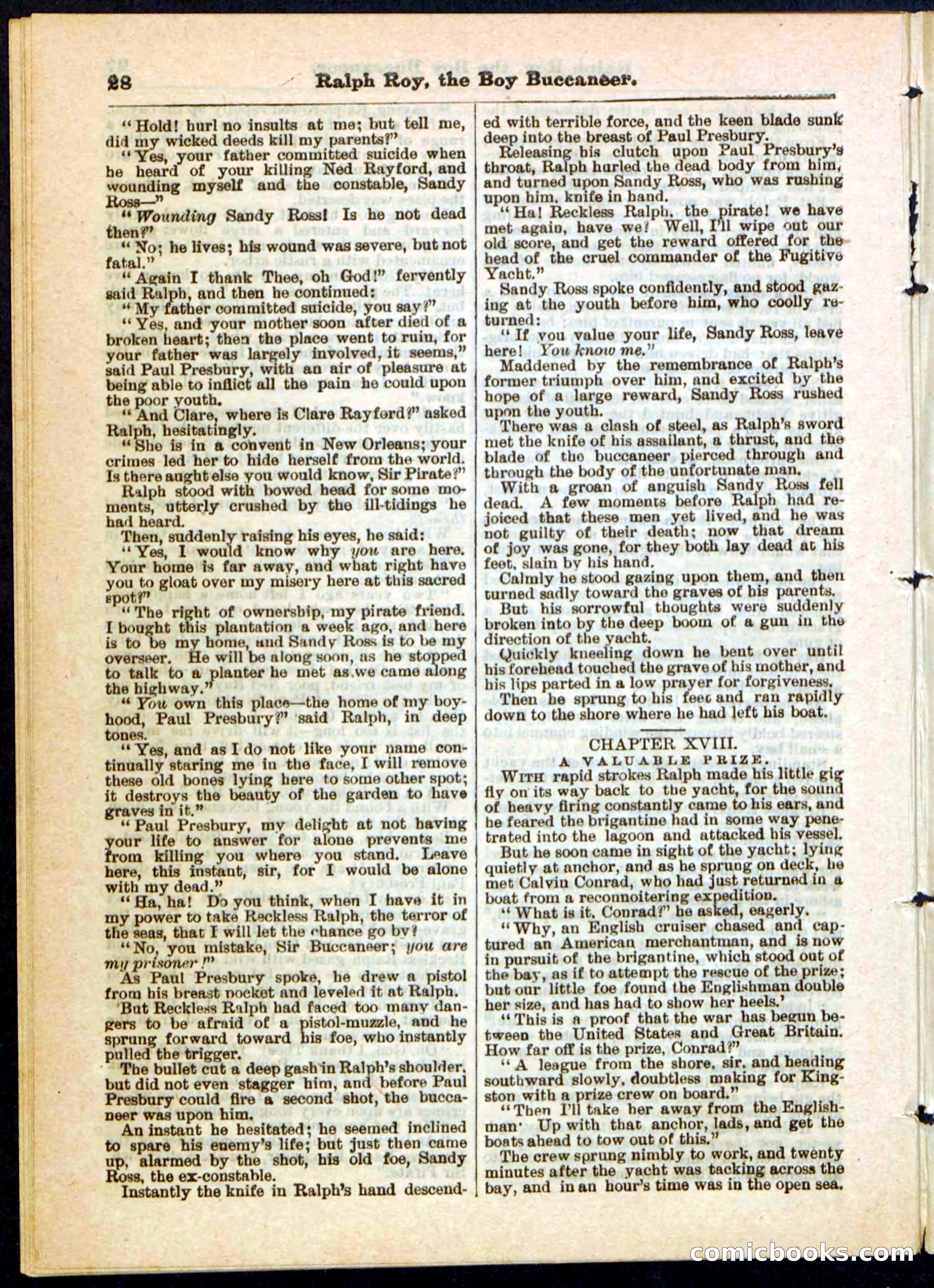 Beadle's Pocket Library No. 11 — page 28 of 32