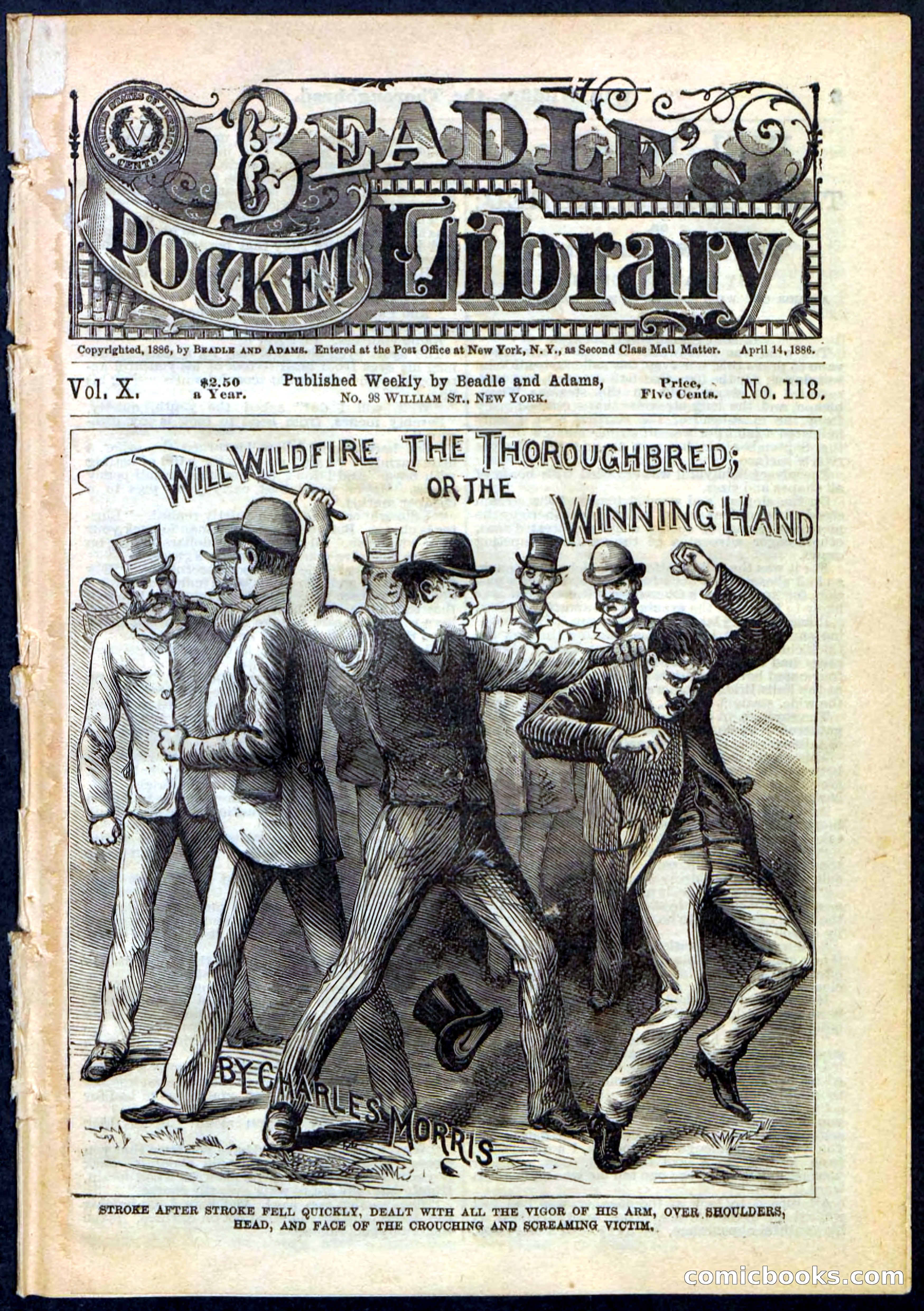 Beadle's Pocket Library No. 118 — page 1 of 32