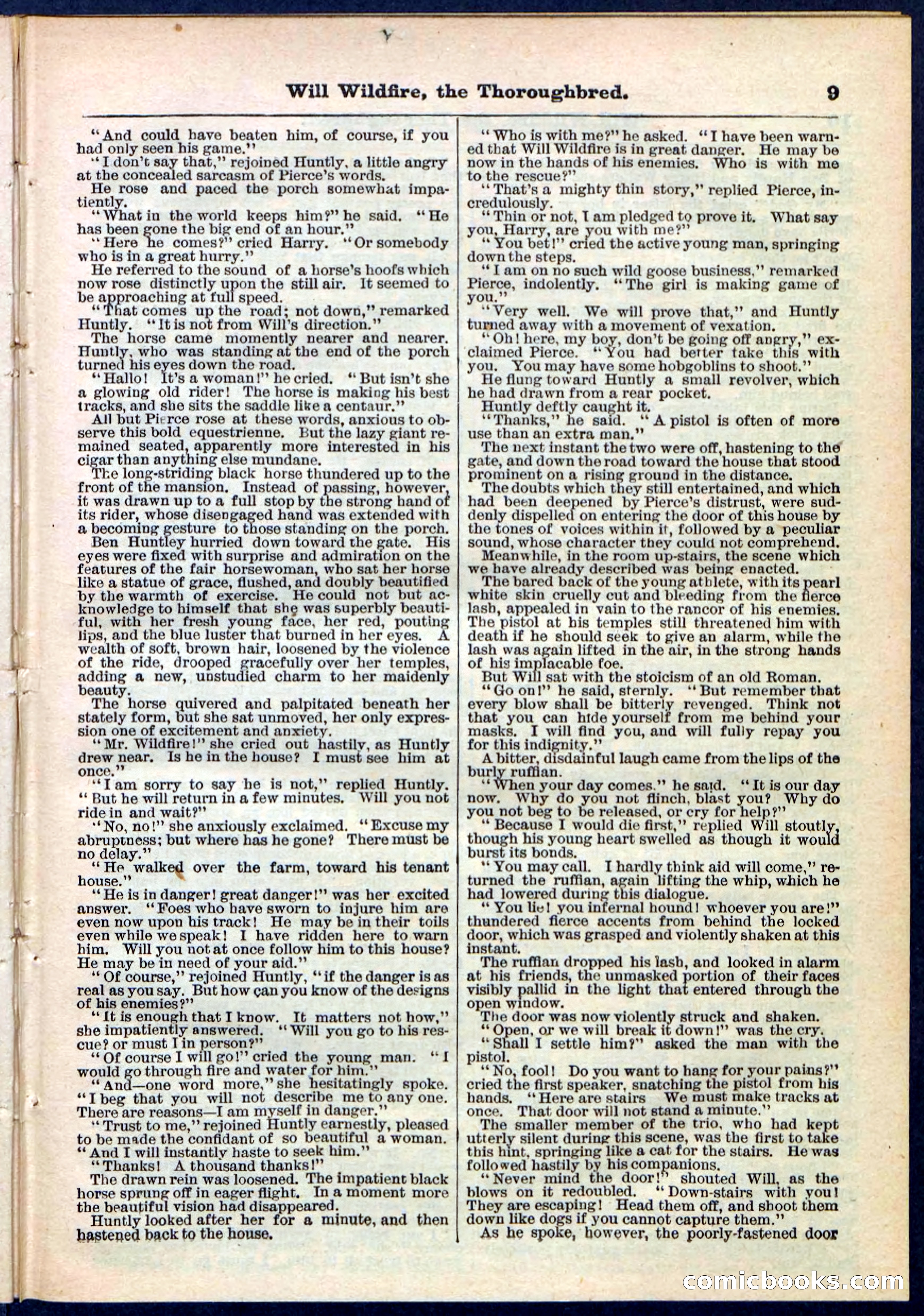 Beadle's Pocket Library No. 118 — page 9 of 32