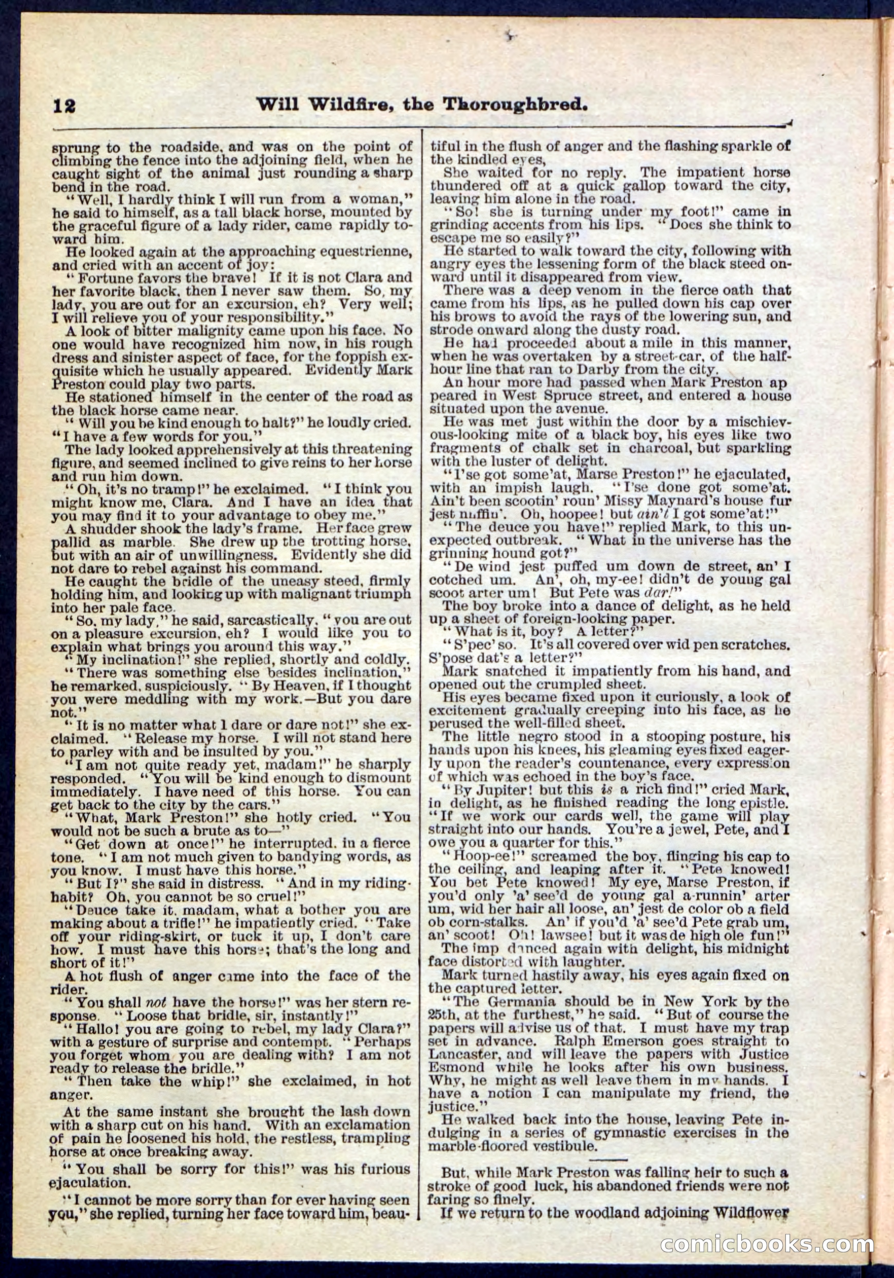 Beadle's Pocket Library No. 118 — page 12 of 32