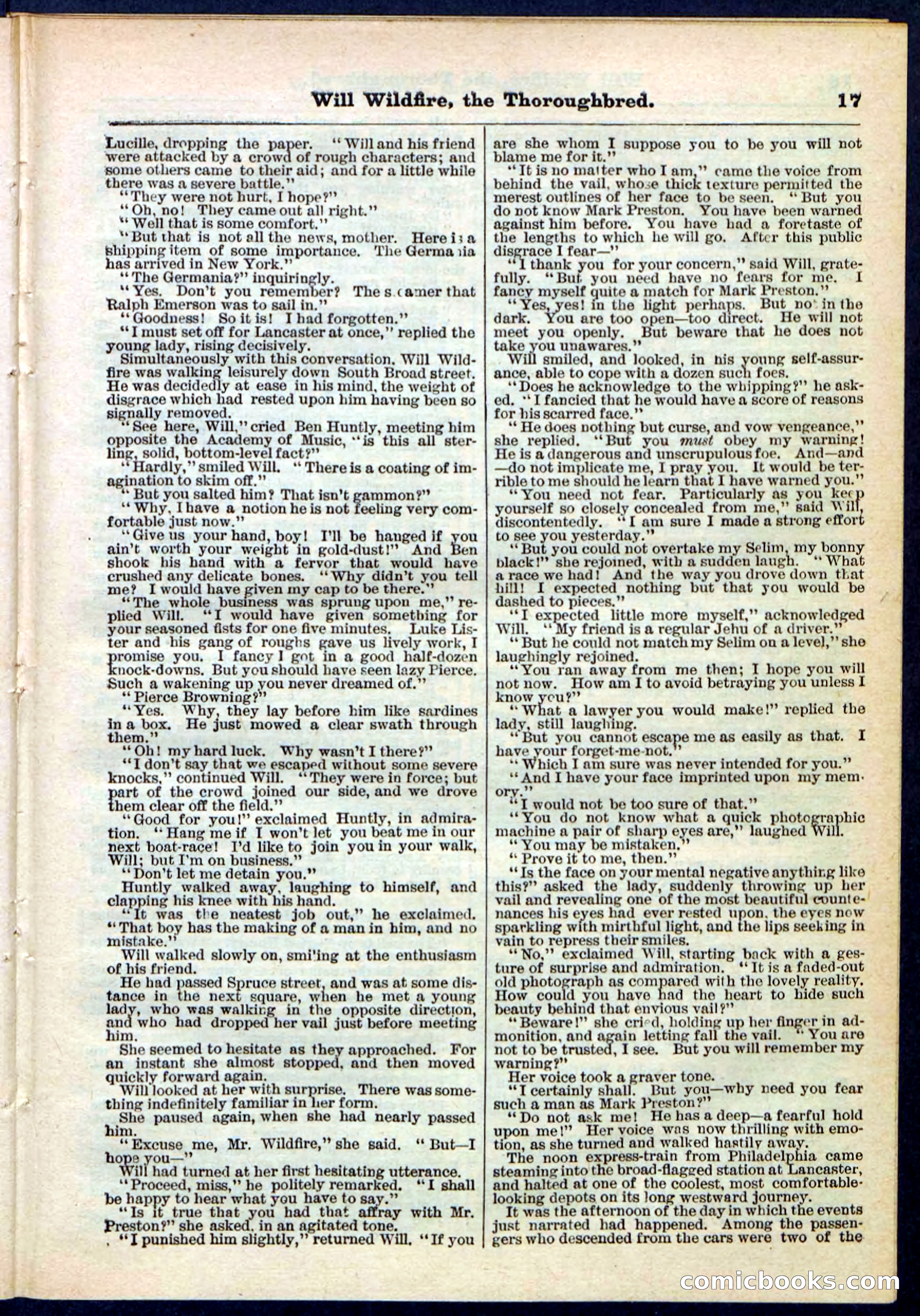 Beadle's Pocket Library No. 118 — page 17 of 32