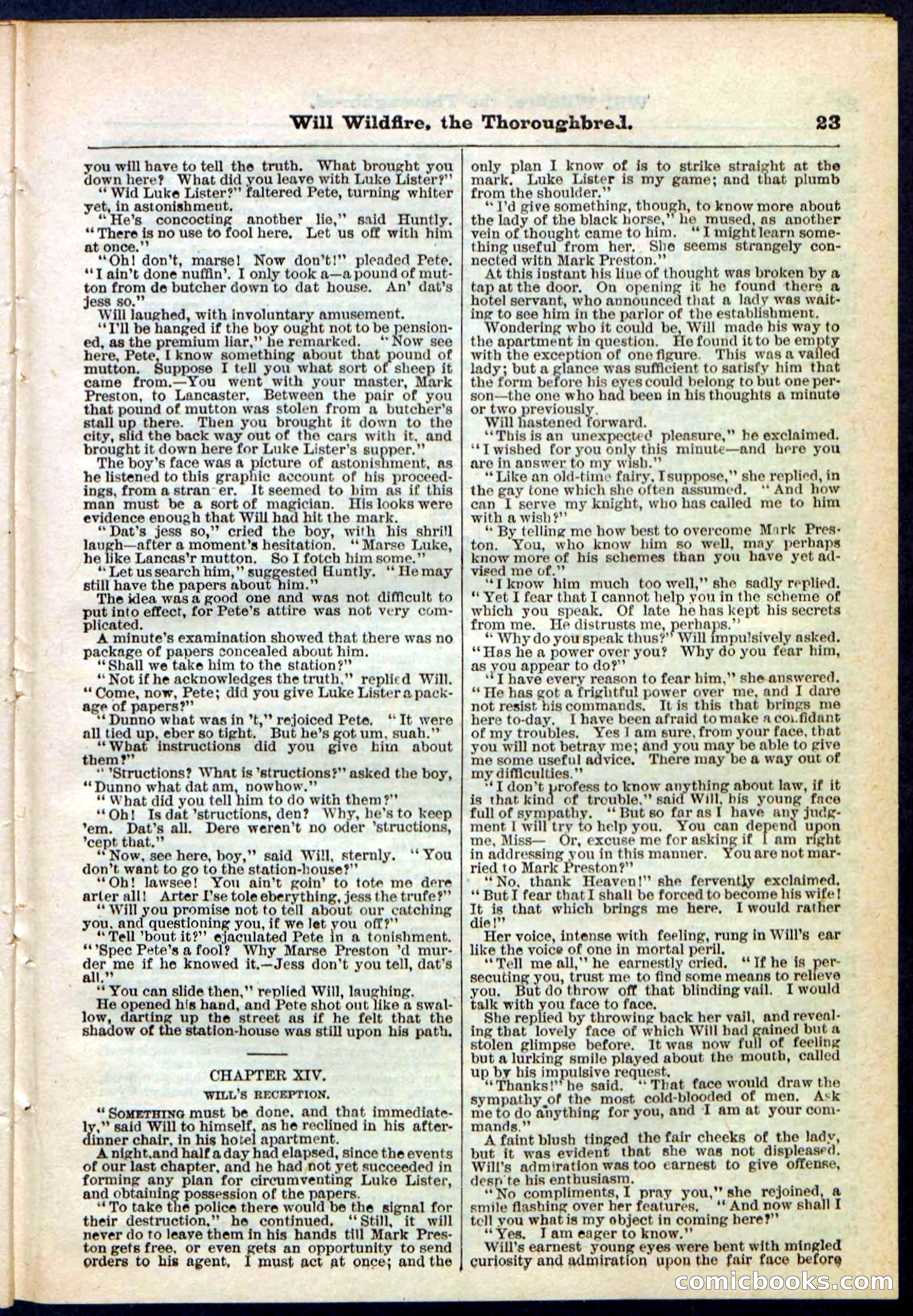 Beadle's Pocket Library No. 118 — page 23 of 32
