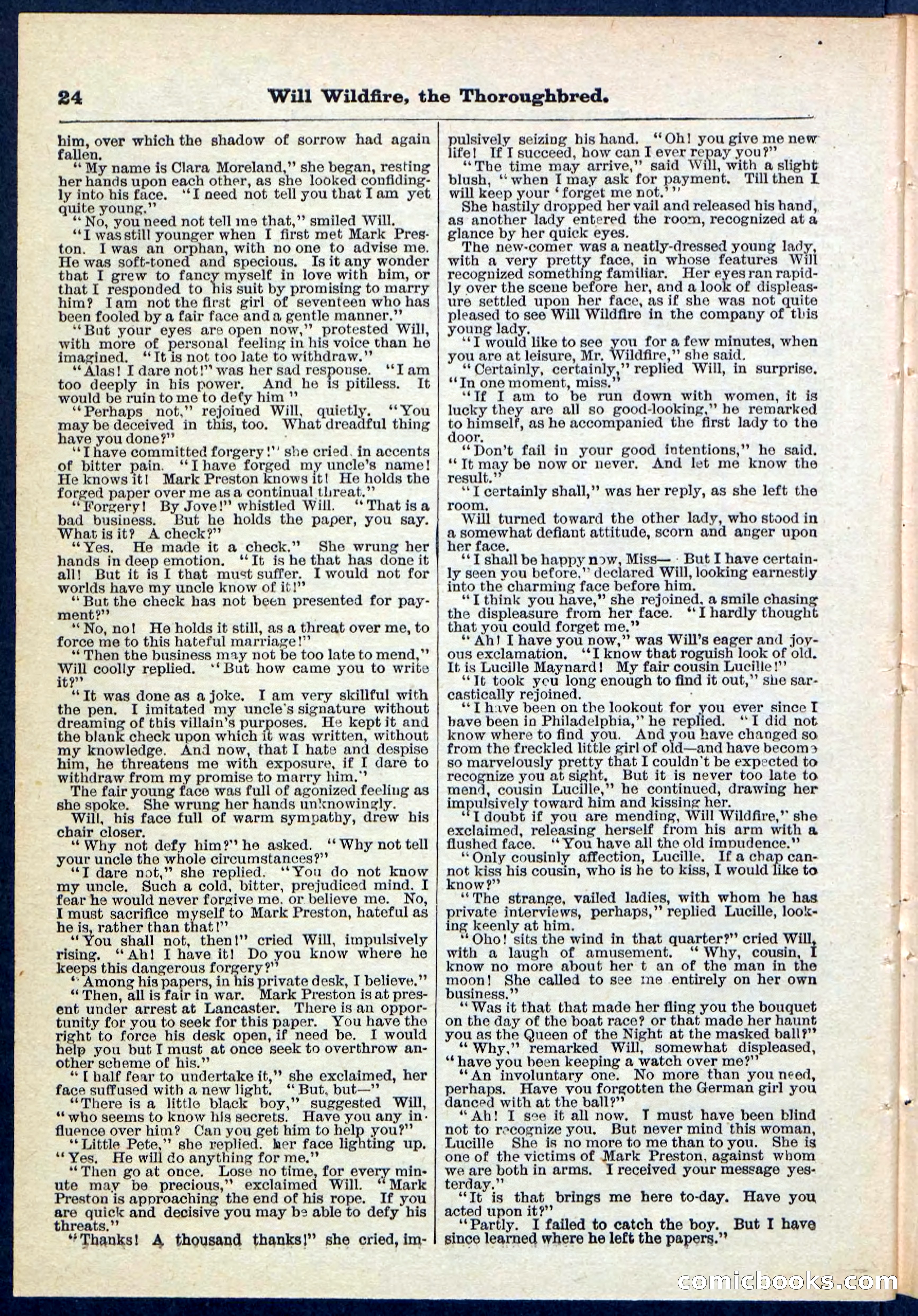 Beadle's Pocket Library No. 118 — page 24 of 32