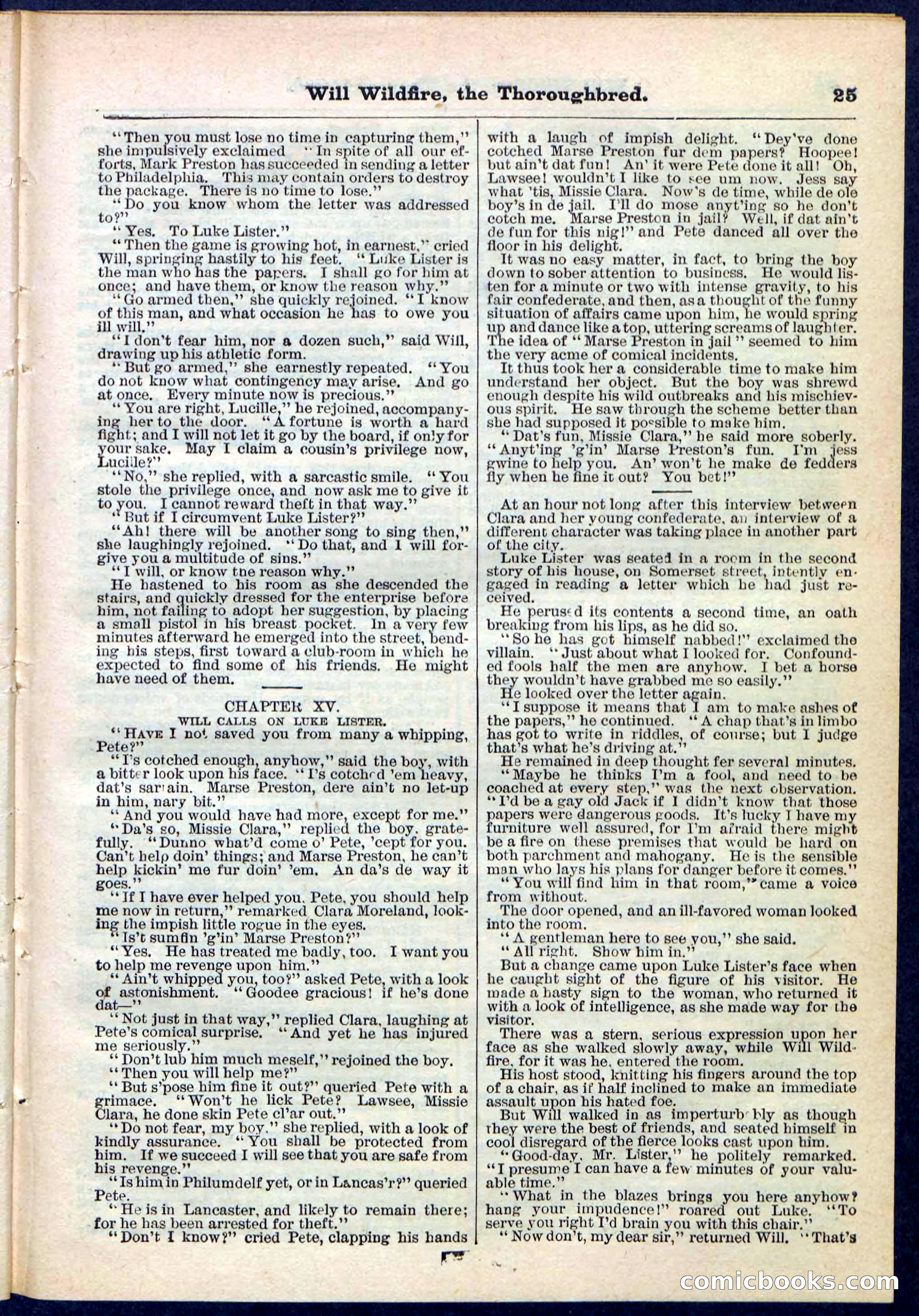 Beadle's Pocket Library No. 118 — page 25 of 32