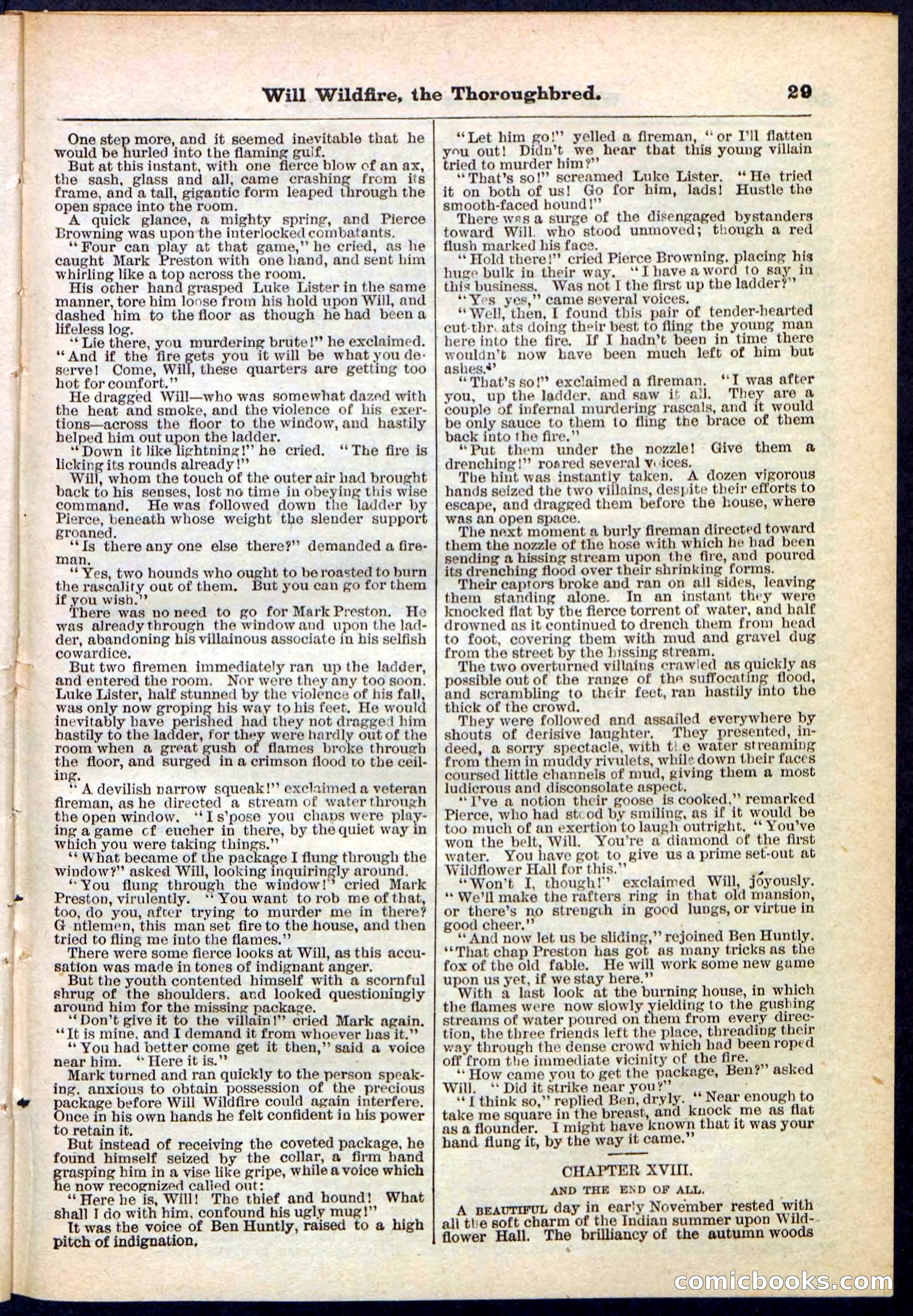 Beadle's Pocket Library No. 118 — page 29 of 32