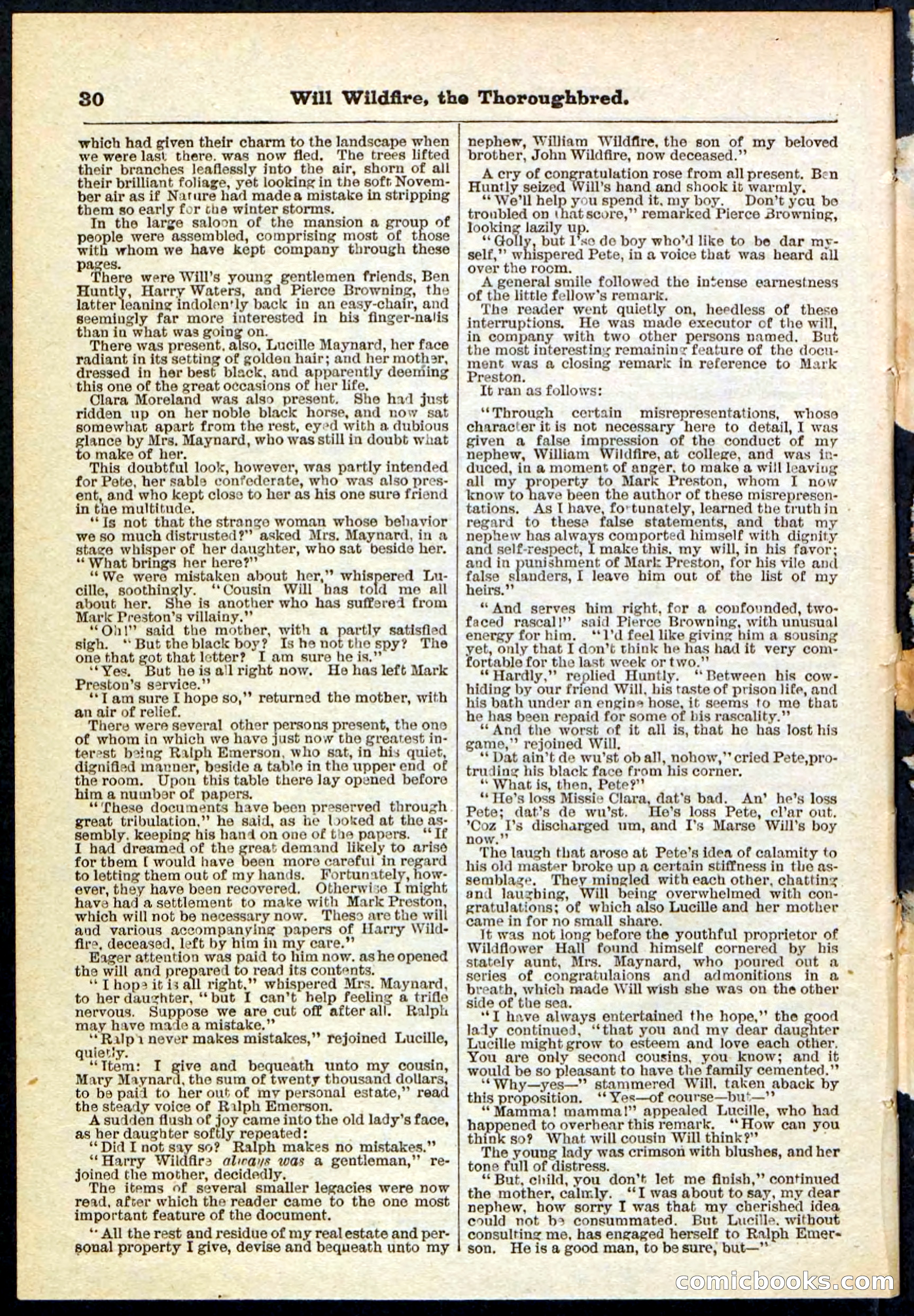 Beadle's Pocket Library No. 118 — page 30 of 32