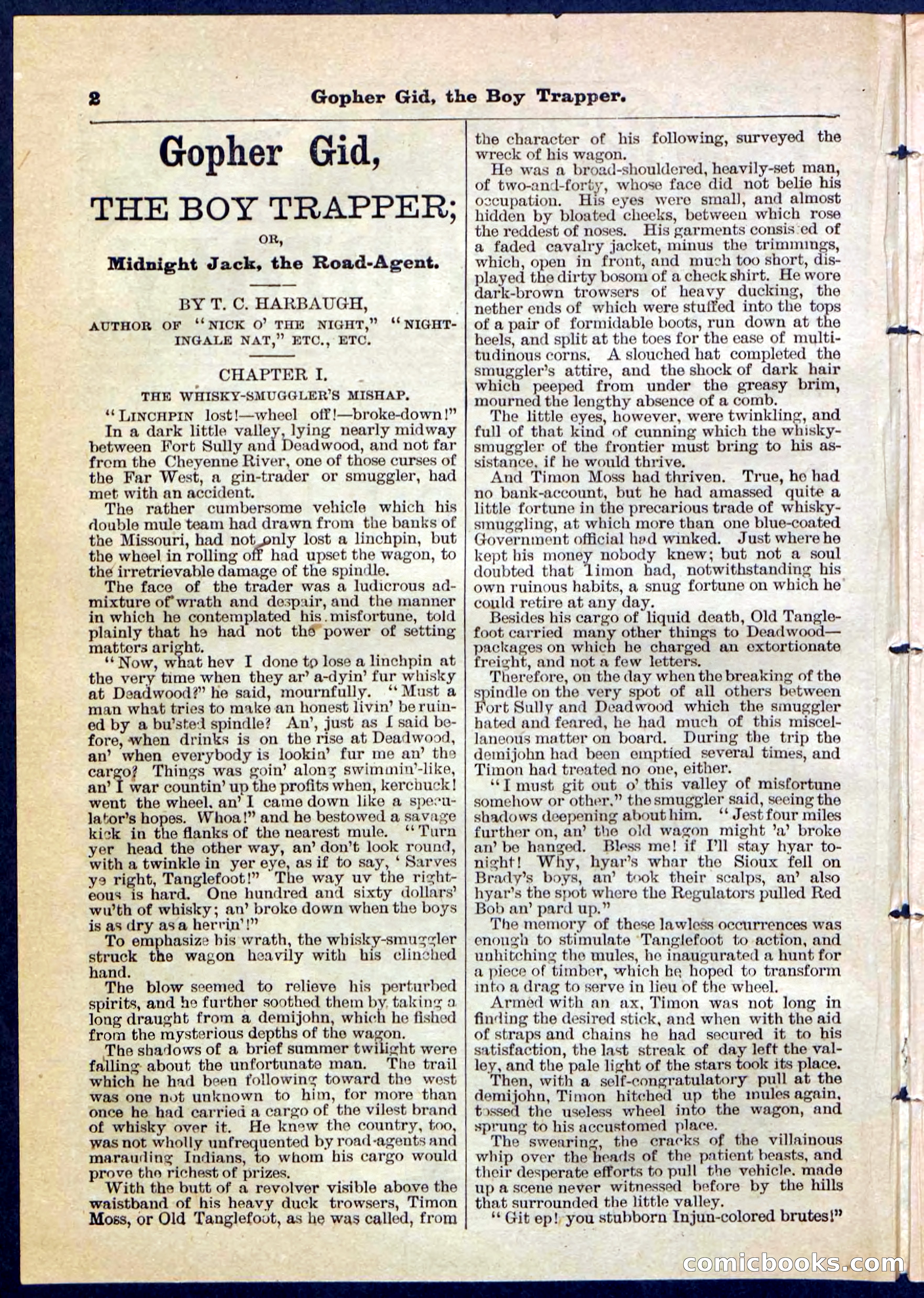Beadle's Pocket Library No. 120 — page 2 of 32