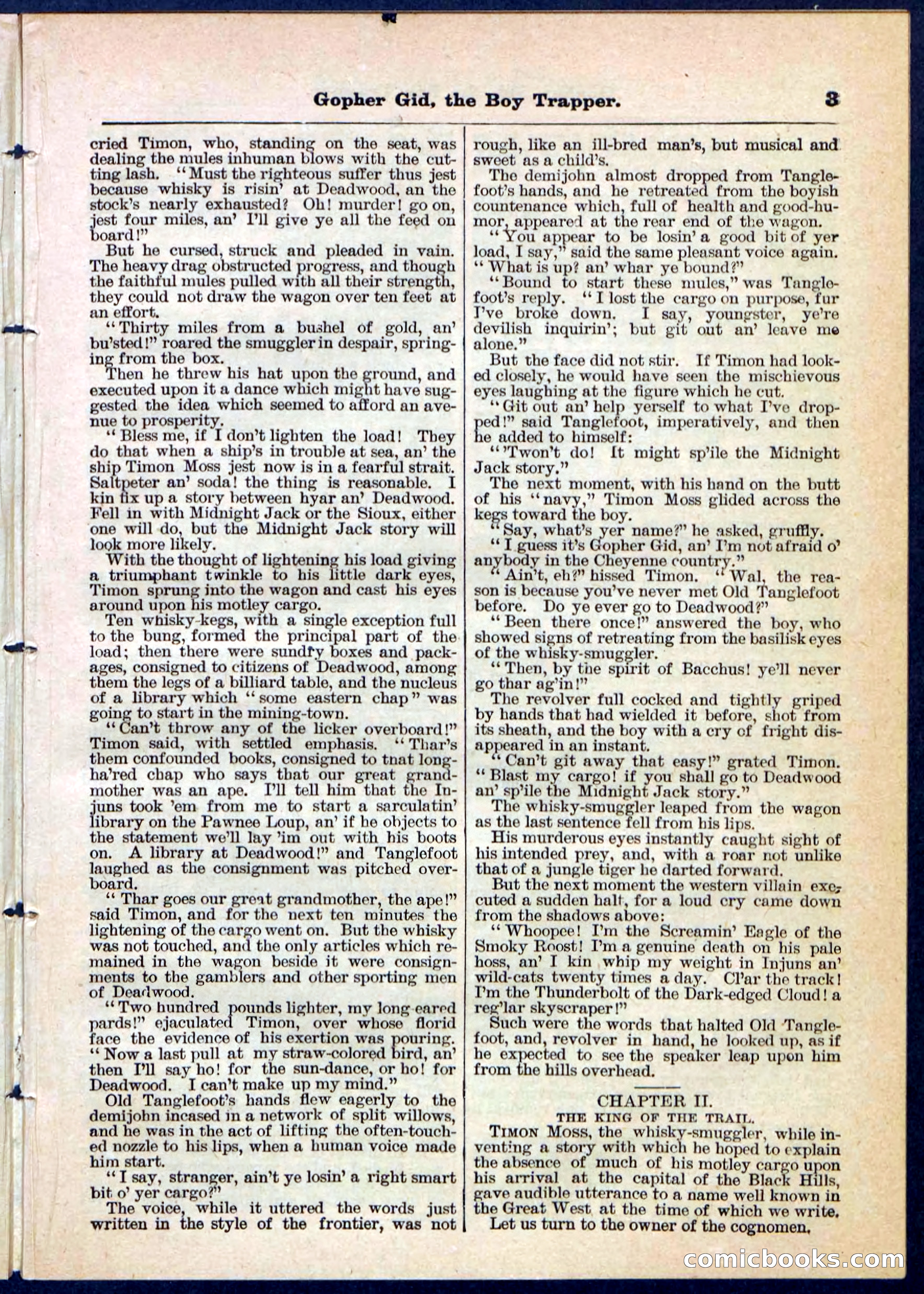 Beadle's Pocket Library No. 120 — page 3 of 32