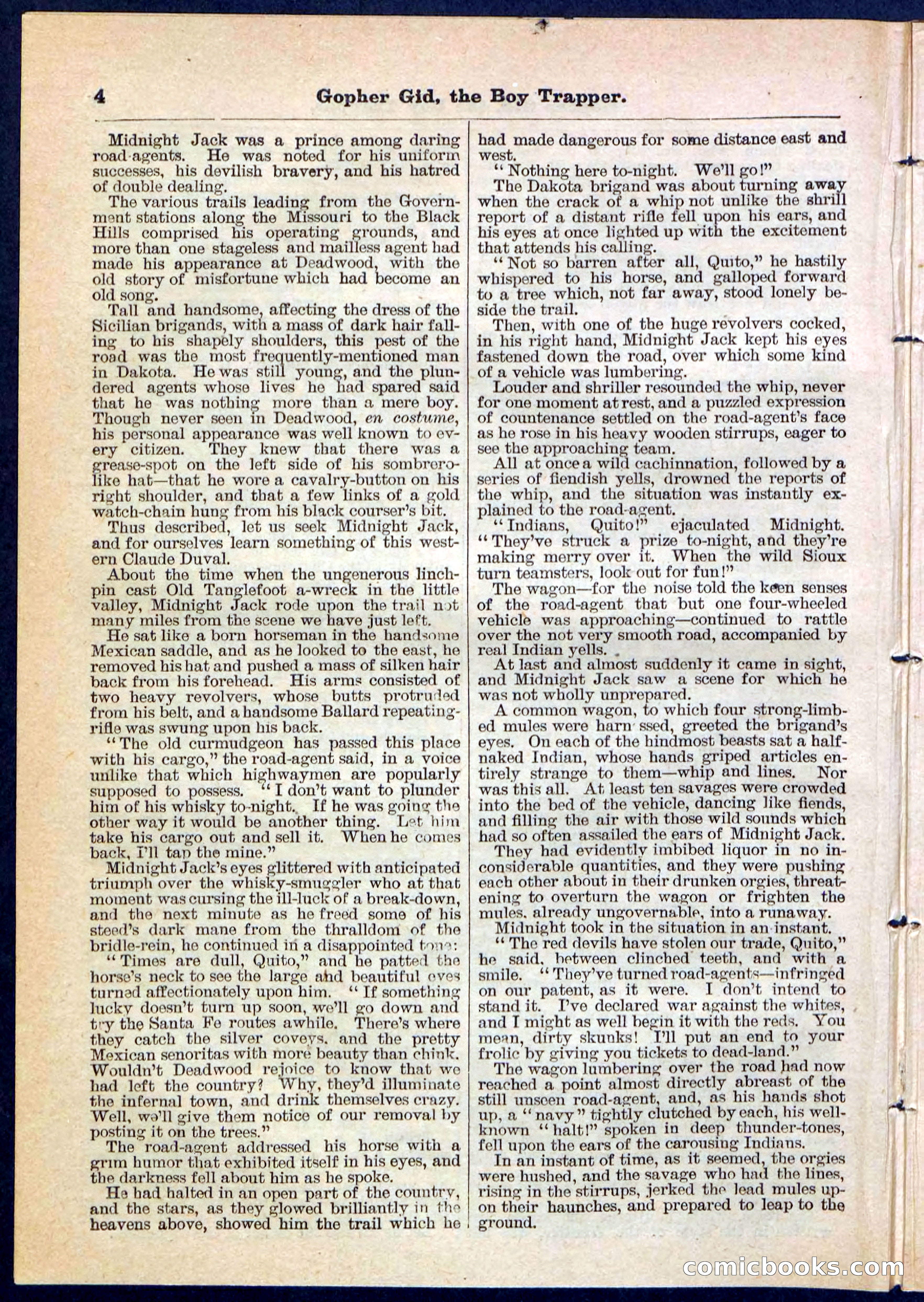 Beadle's Pocket Library No. 120 — page 4 of 32