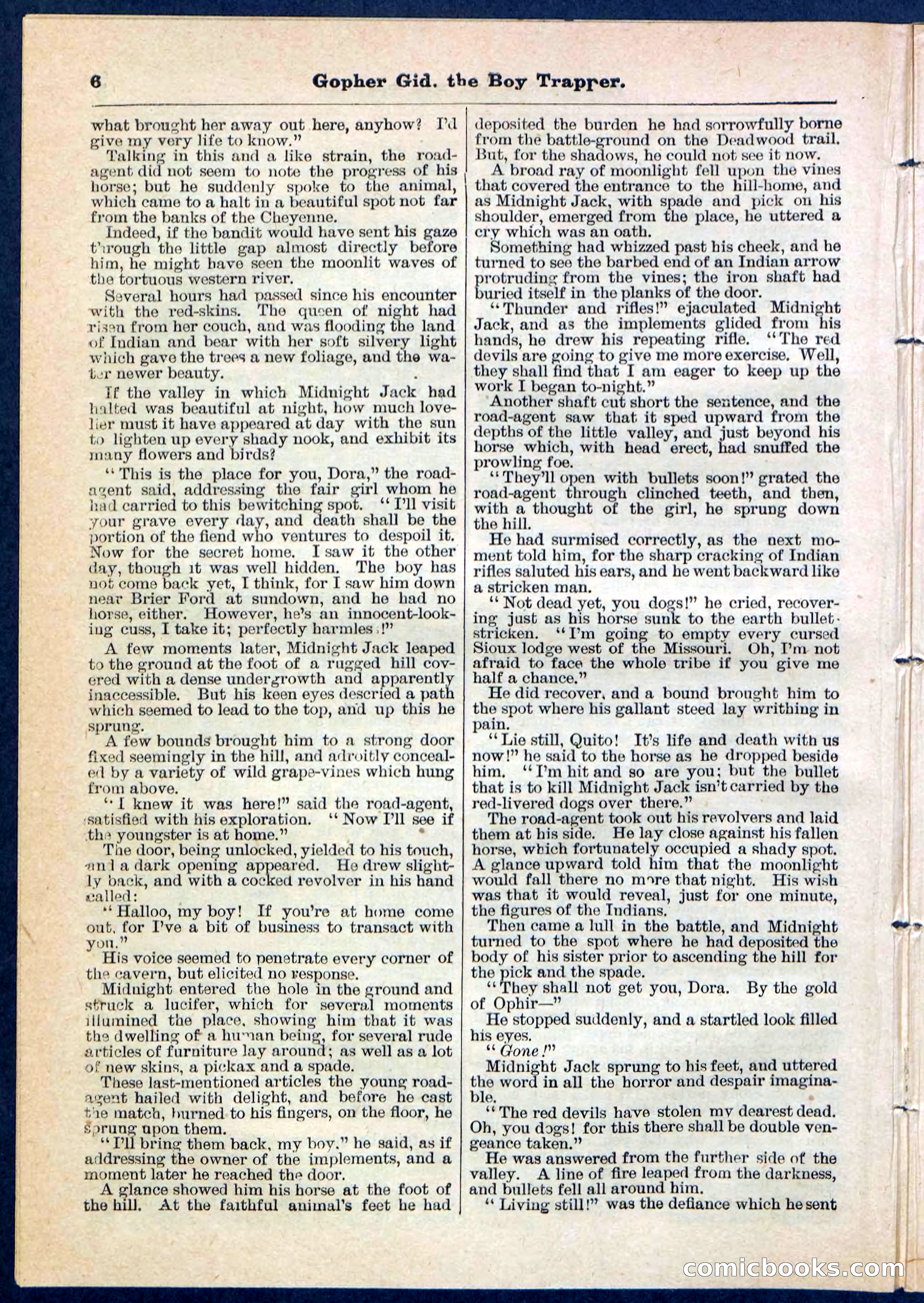 Beadle's Pocket Library No. 120 — page 6 of 32
