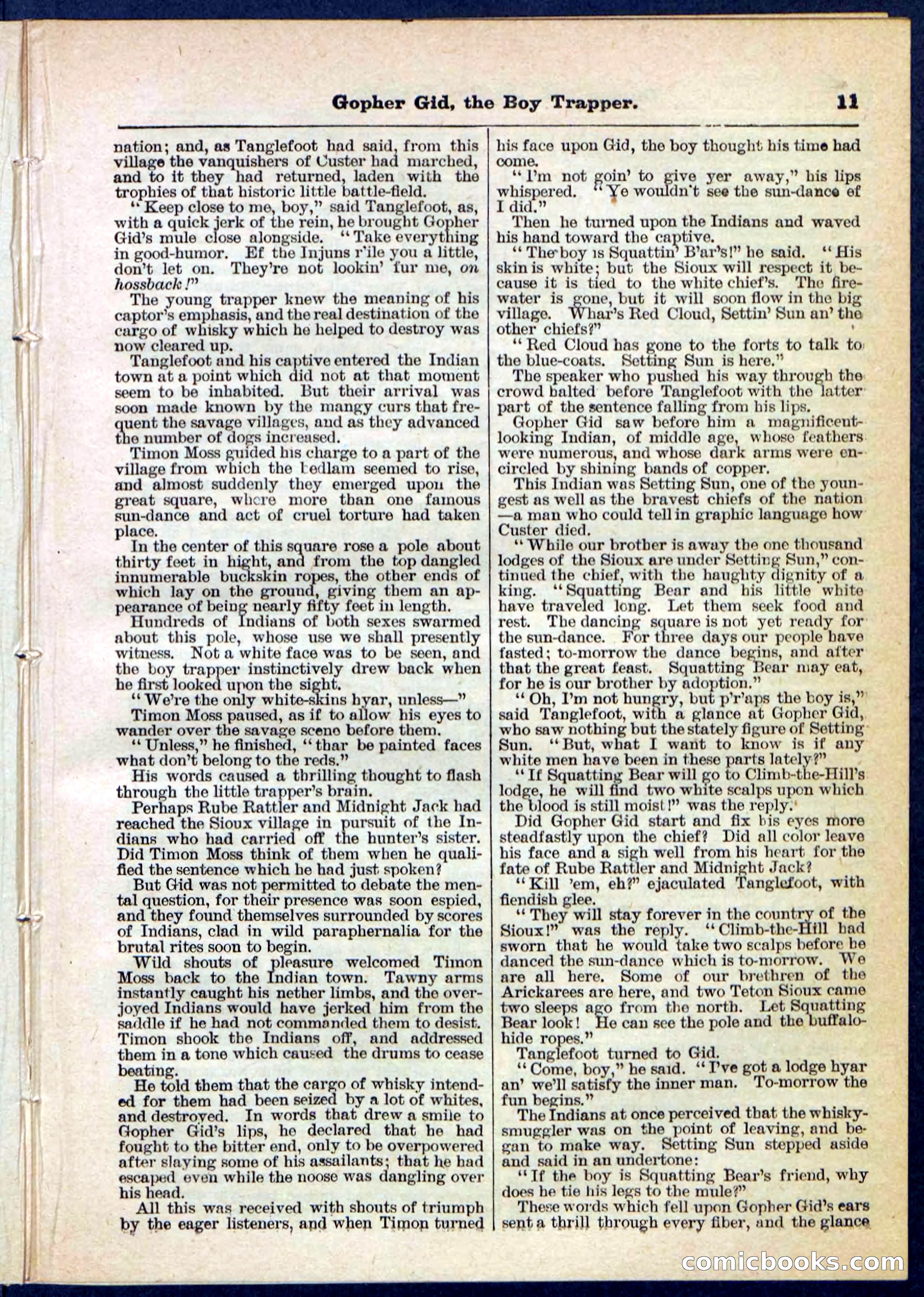 Beadle's Pocket Library No. 120 — page 11 of 32