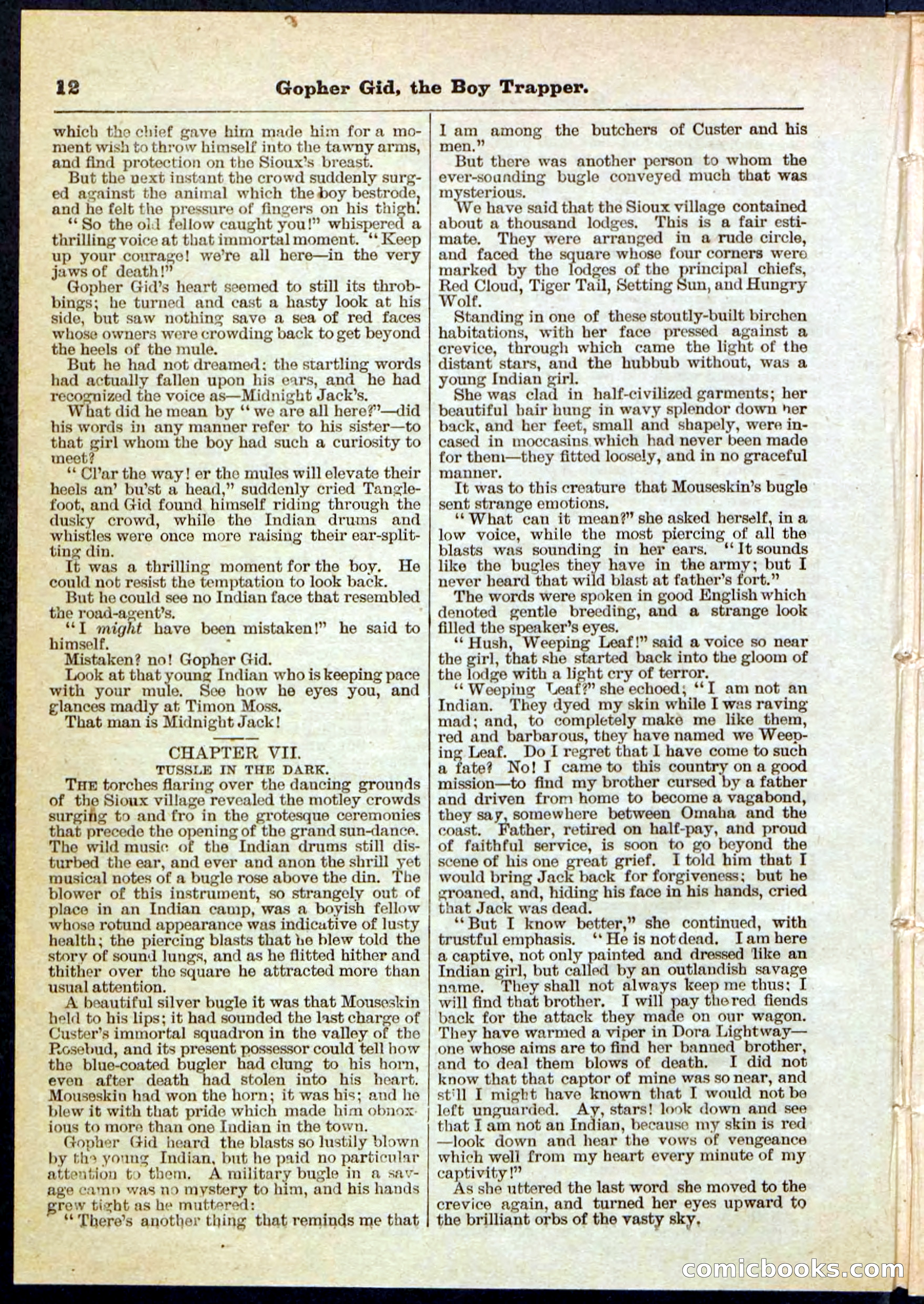 Beadle's Pocket Library No. 120 — page 12 of 32
