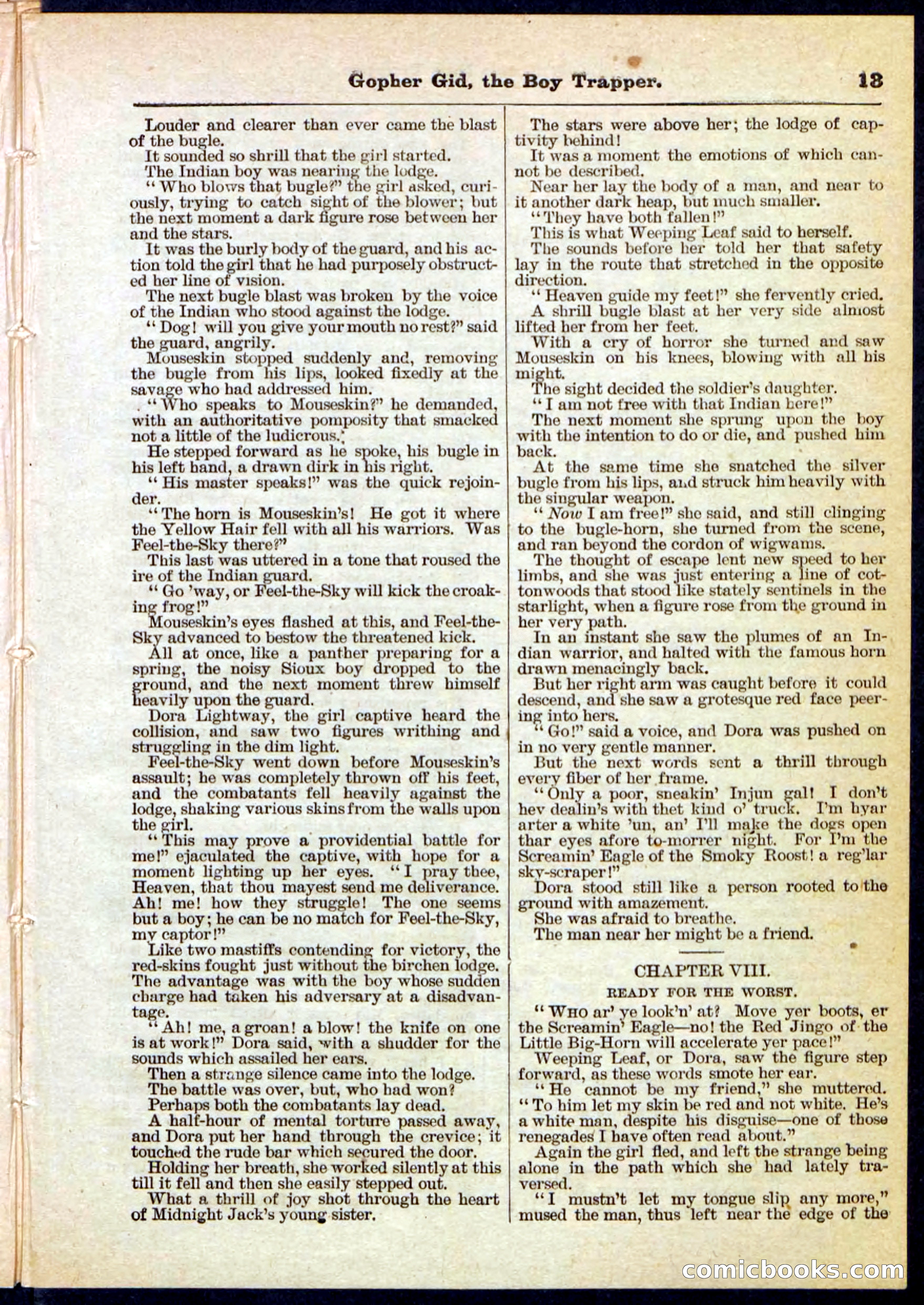 Beadle's Pocket Library No. 120 — page 13 of 32