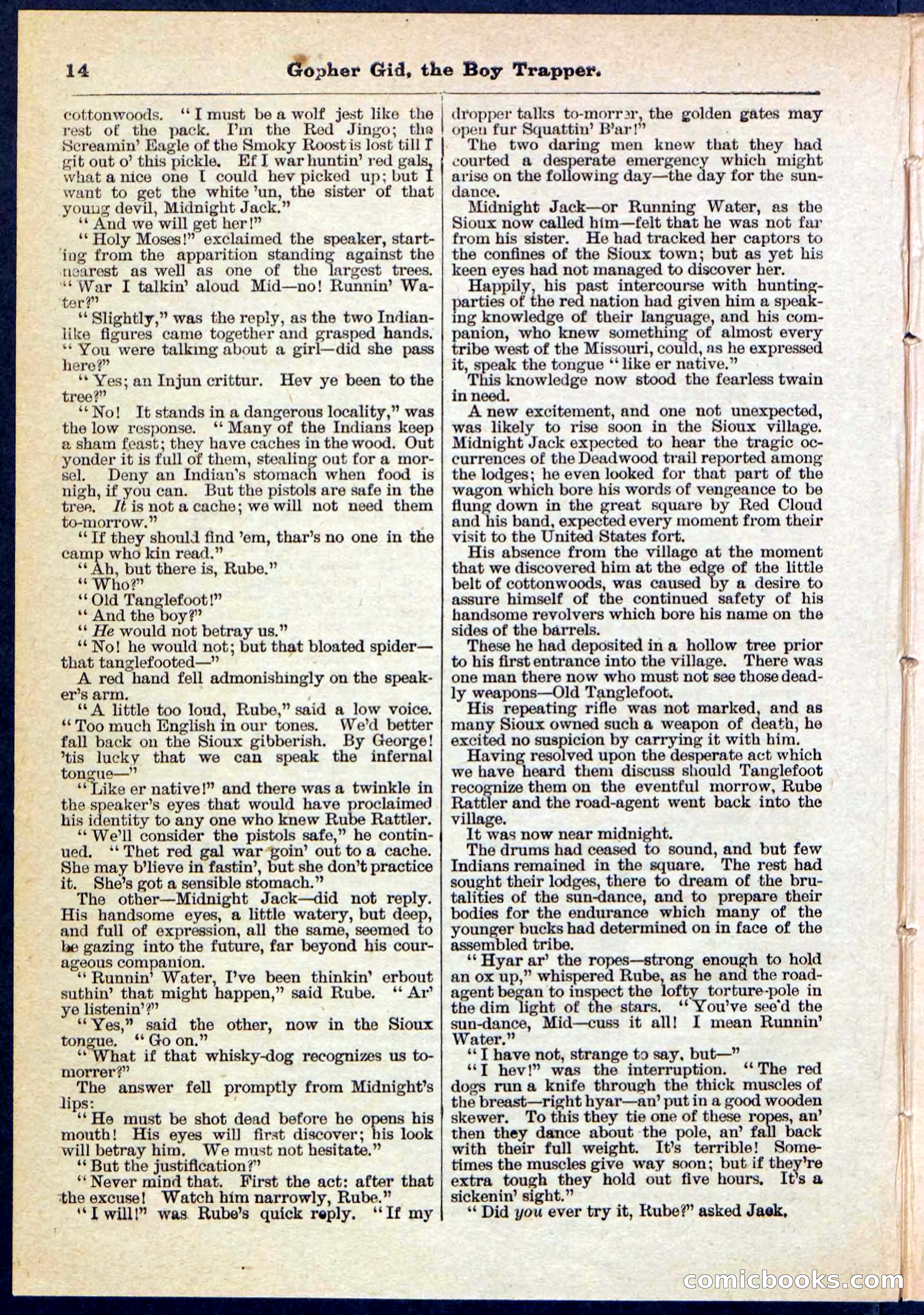 Beadle's Pocket Library No. 120 — page 14 of 32