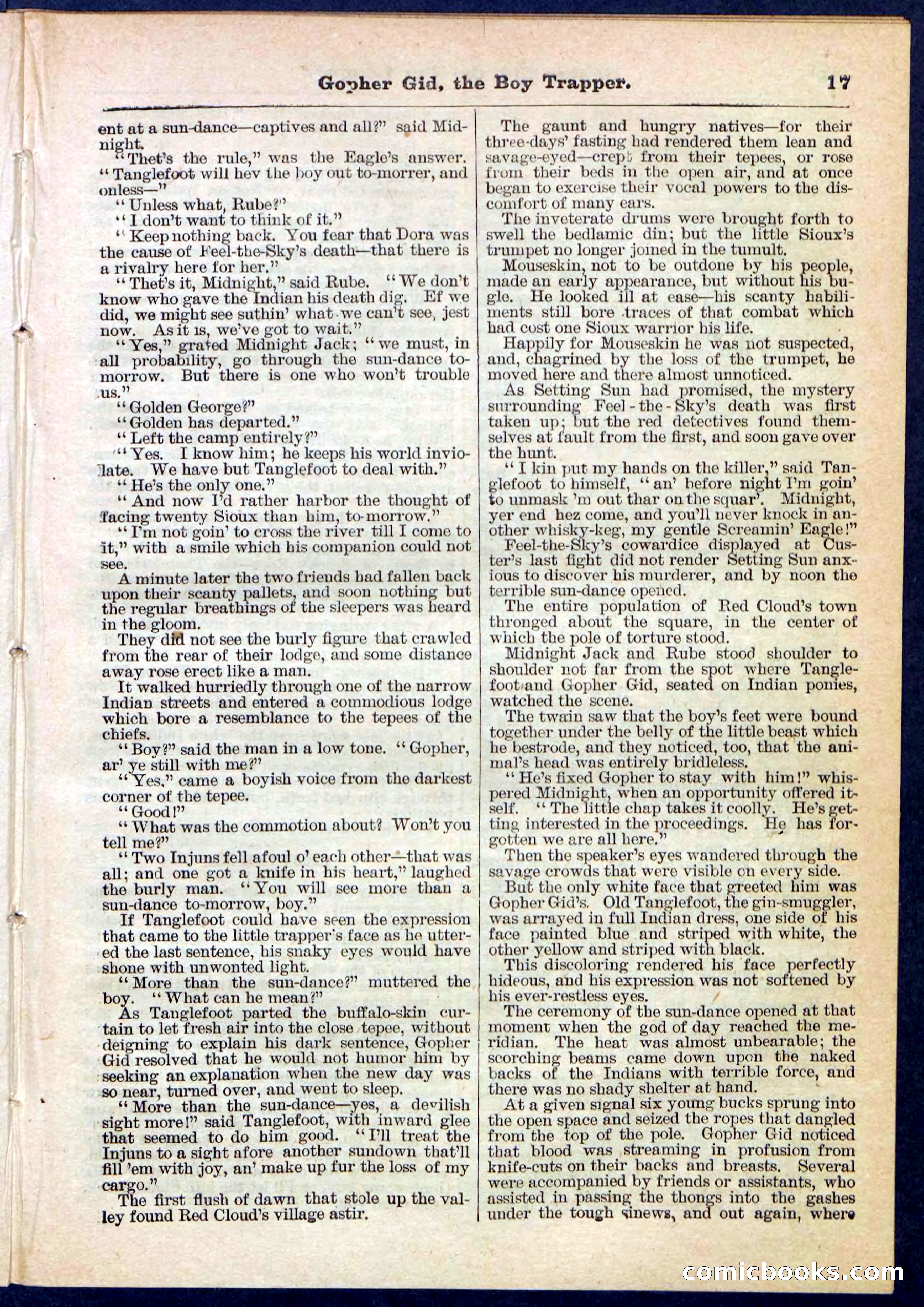 Beadle's Pocket Library No. 120 — page 17 of 32