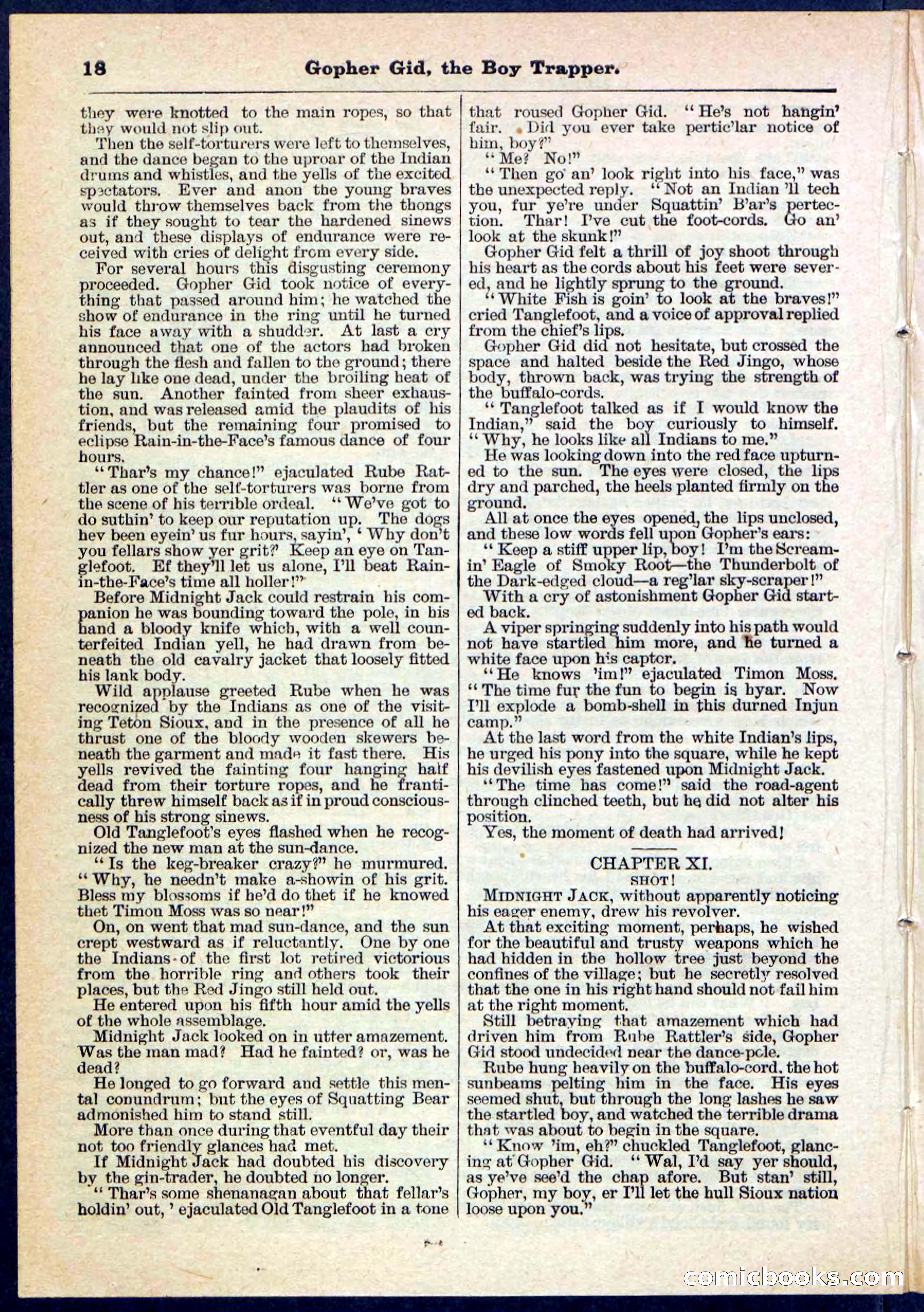 Beadle's Pocket Library No. 120 — page 18 of 32