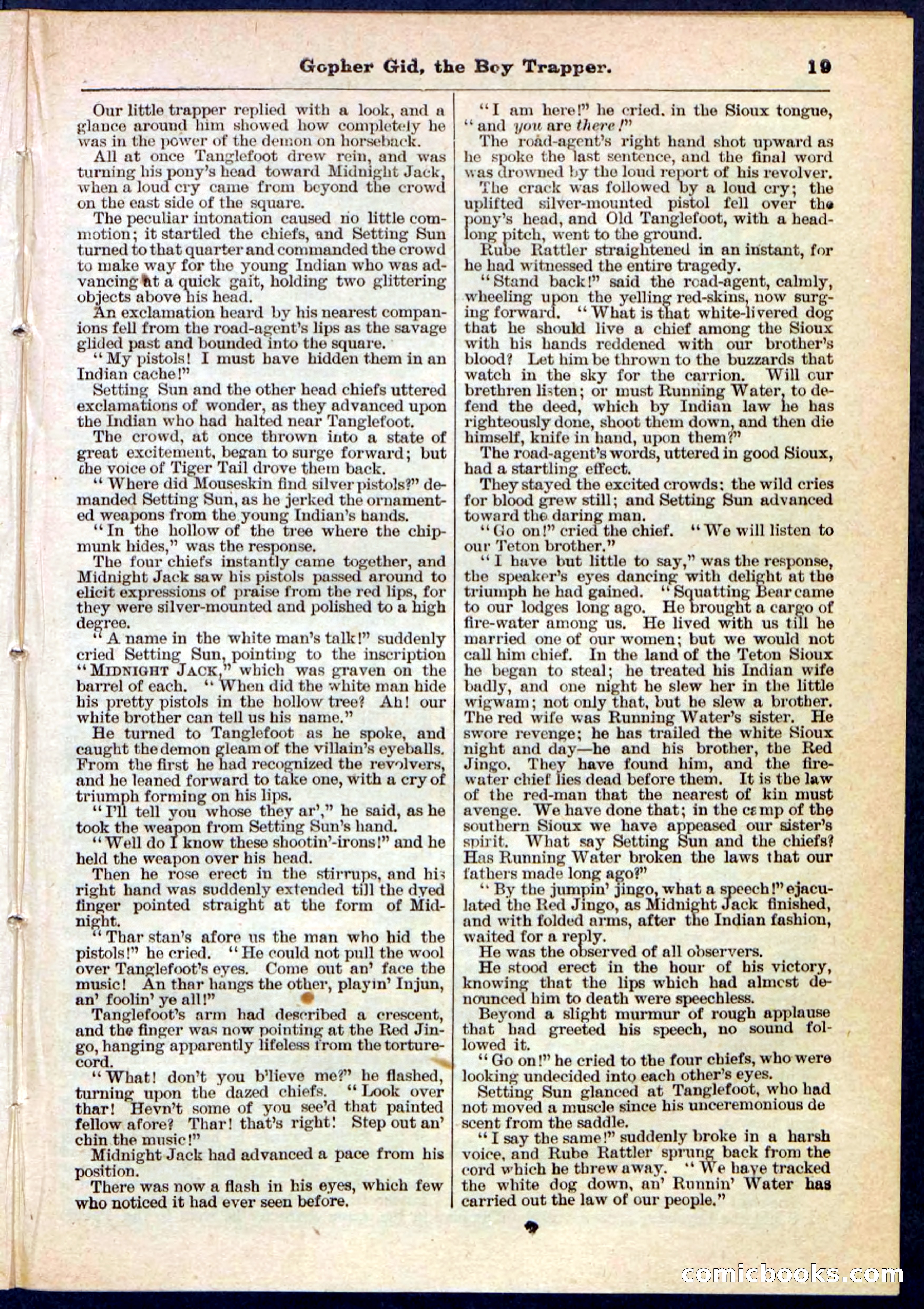 Beadle's Pocket Library No. 120 — page 19 of 32