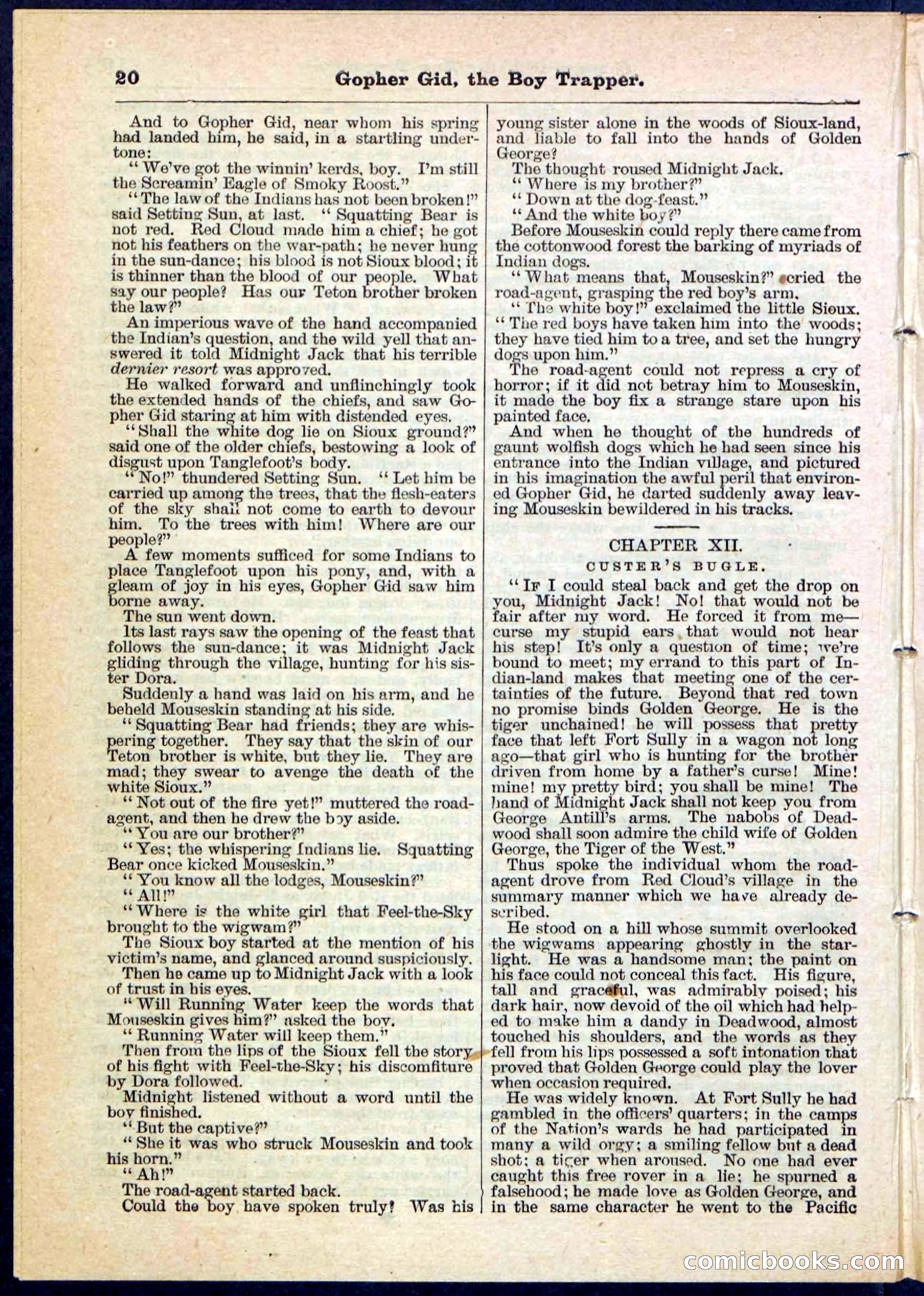 Beadle's Pocket Library No. 120 — page 20 of 32