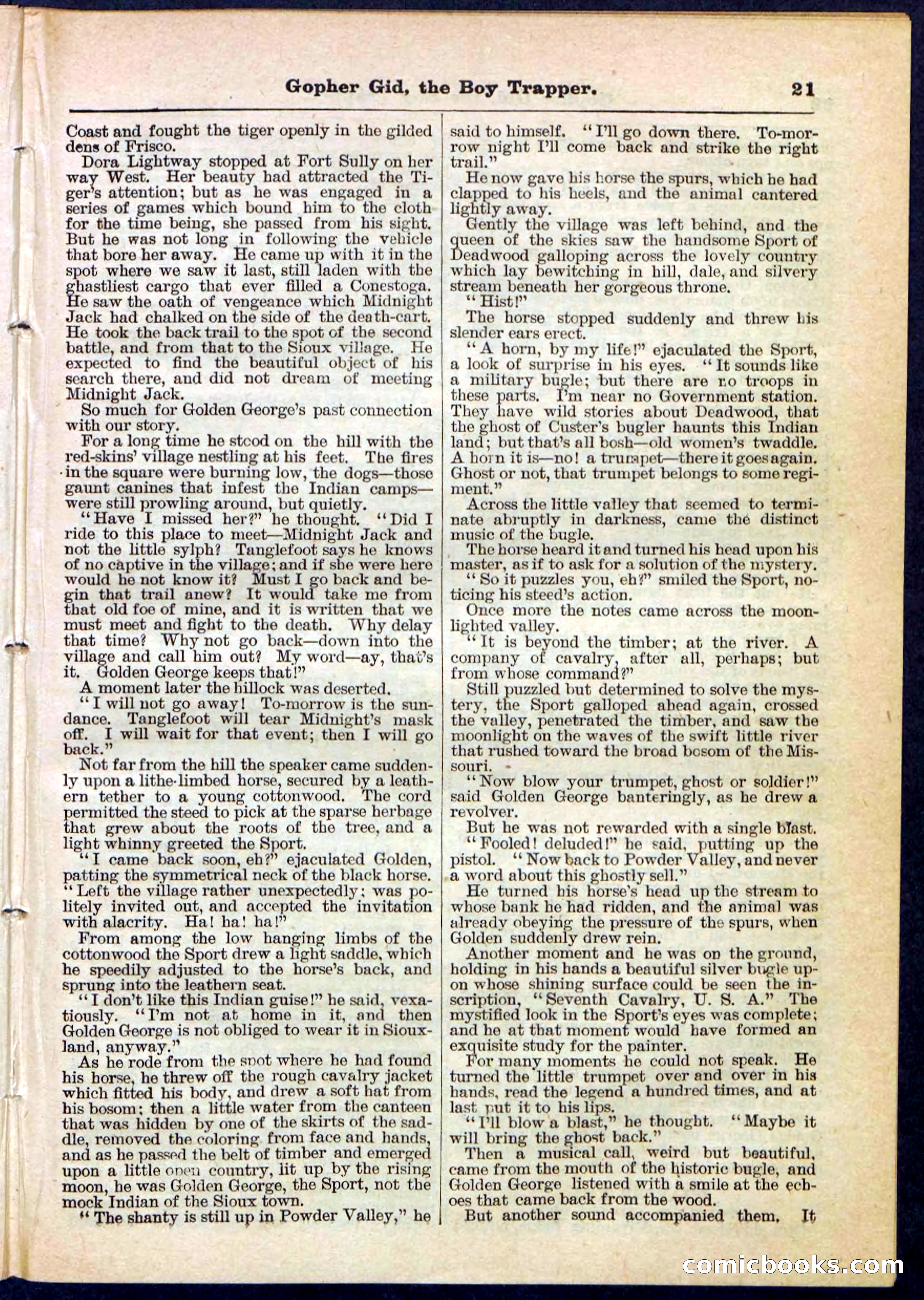 Beadle's Pocket Library No. 120 — page 21 of 32