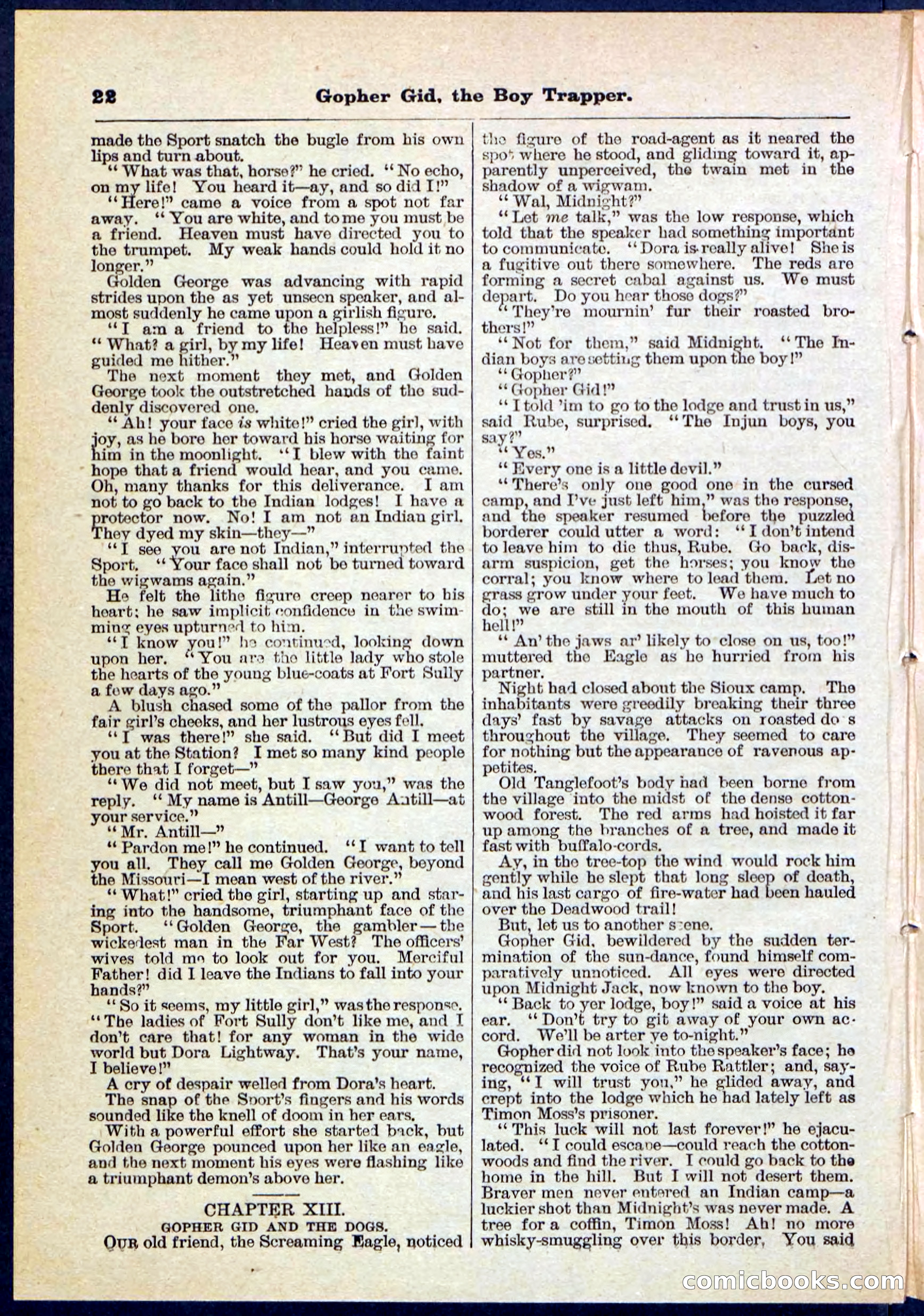 Beadle's Pocket Library No. 120 — page 22 of 32