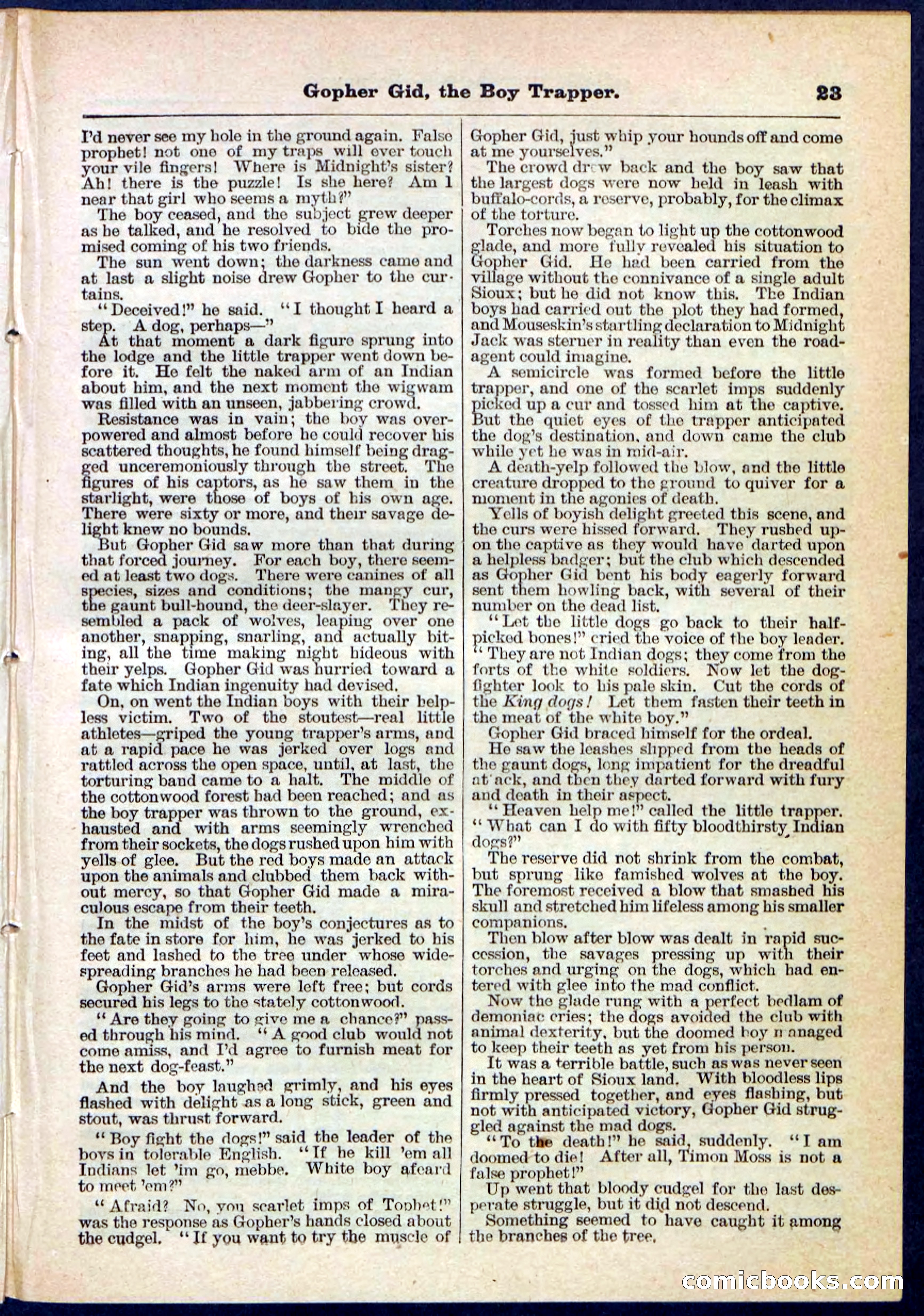 Beadle's Pocket Library No. 120 — page 23 of 32