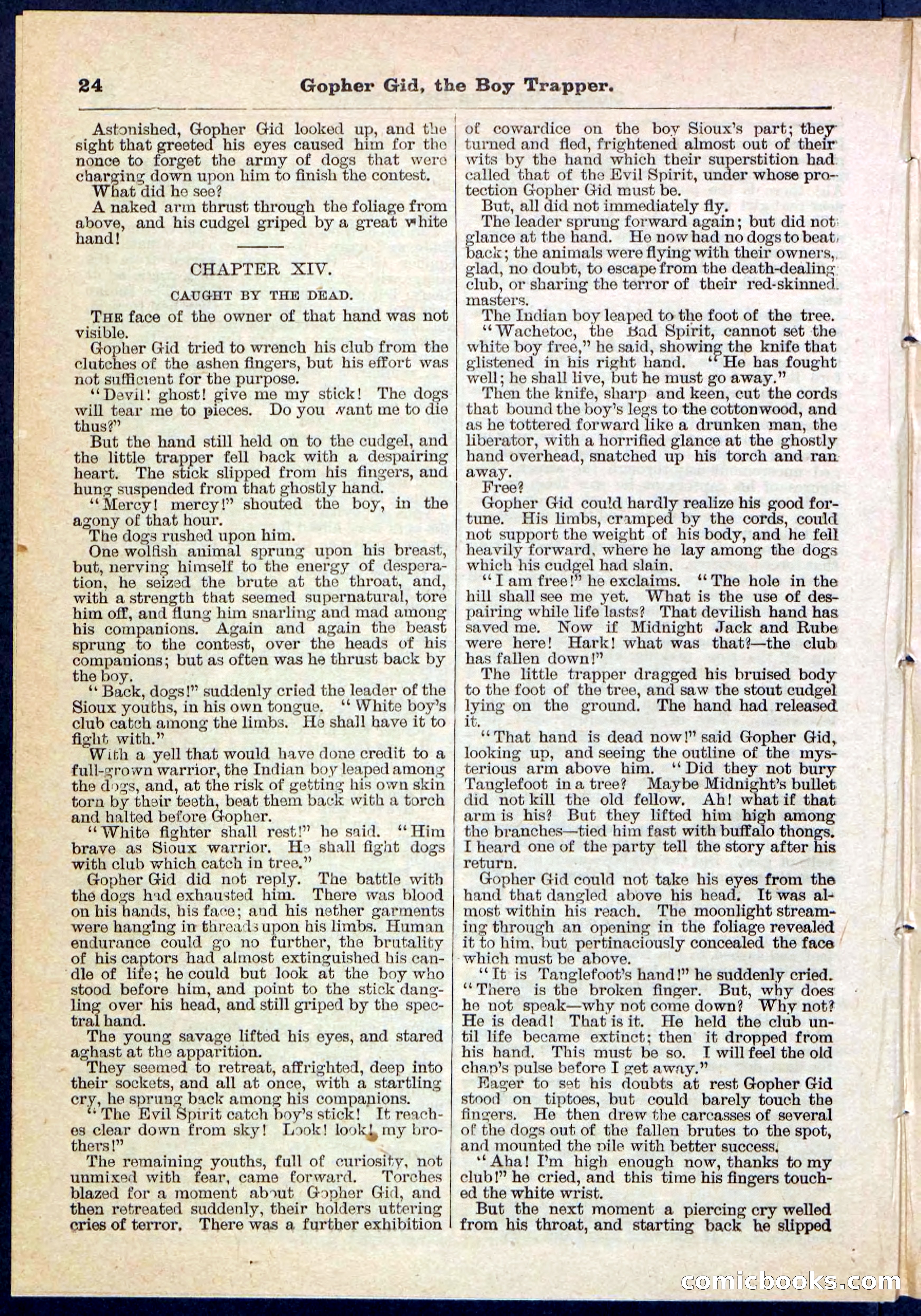 Beadle's Pocket Library No. 120 — page 24 of 32