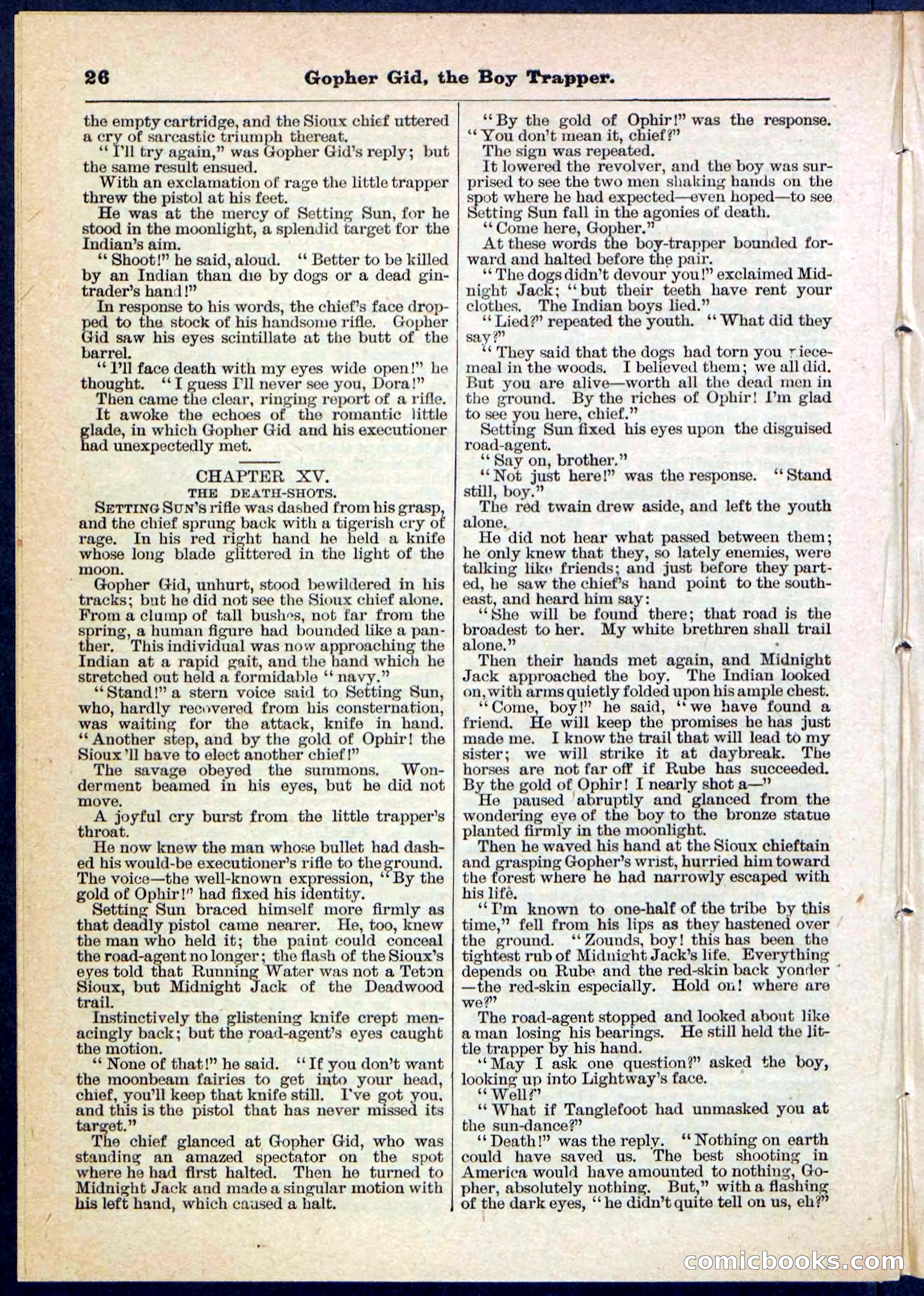 Beadle's Pocket Library No. 120 — page 26 of 32