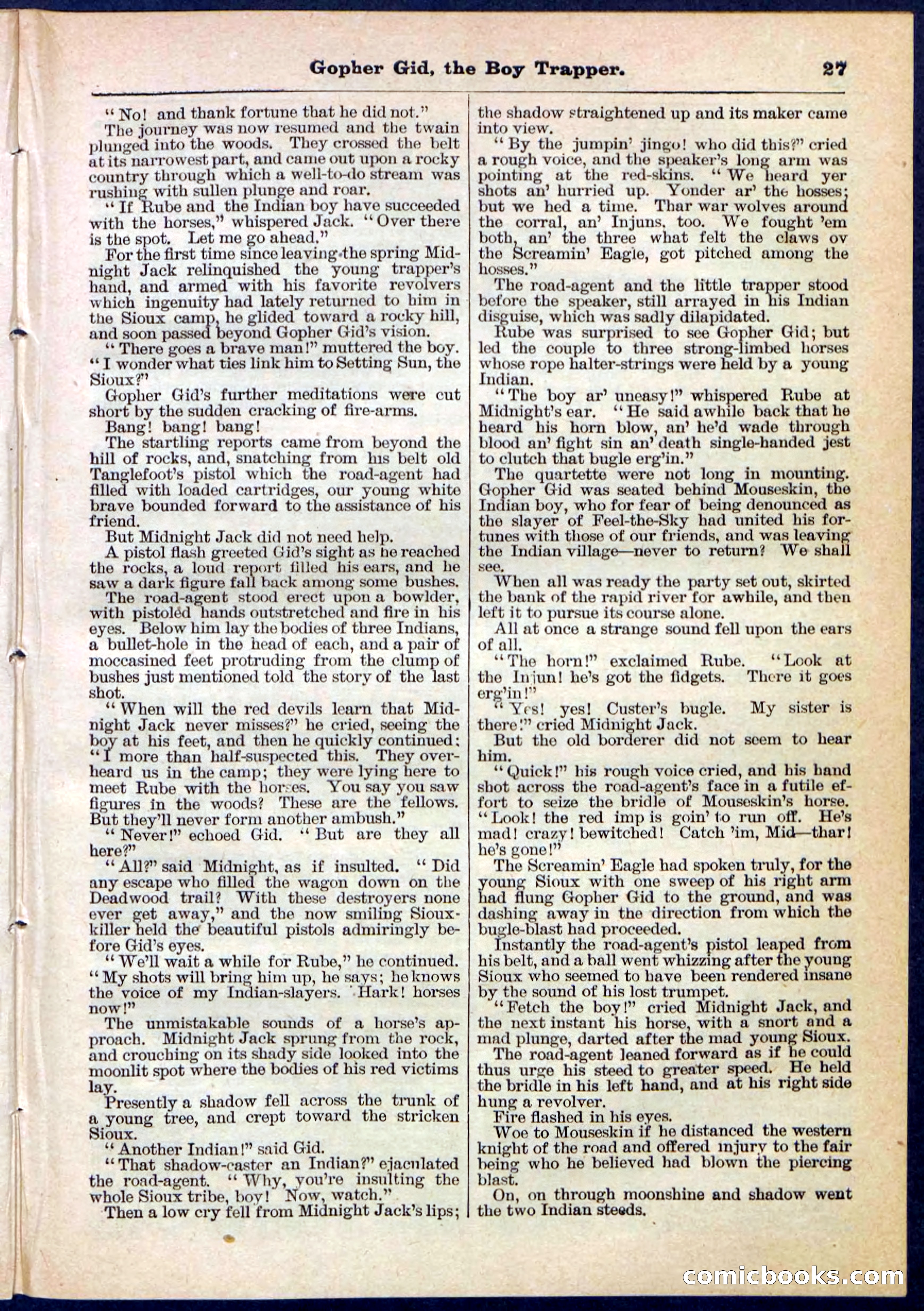 Beadle's Pocket Library No. 120 — page 27 of 32