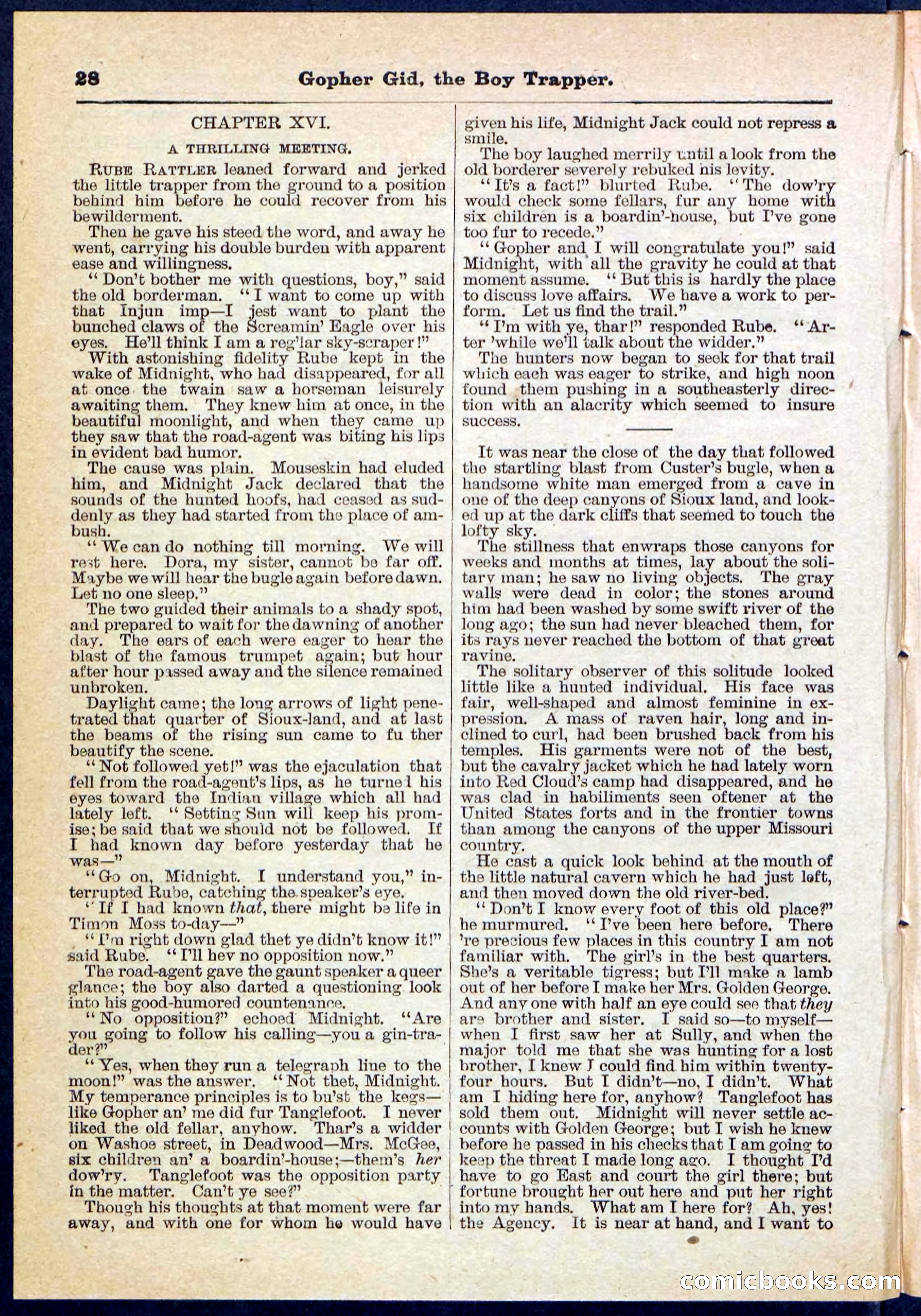 Beadle's Pocket Library No. 120 — page 28 of 32