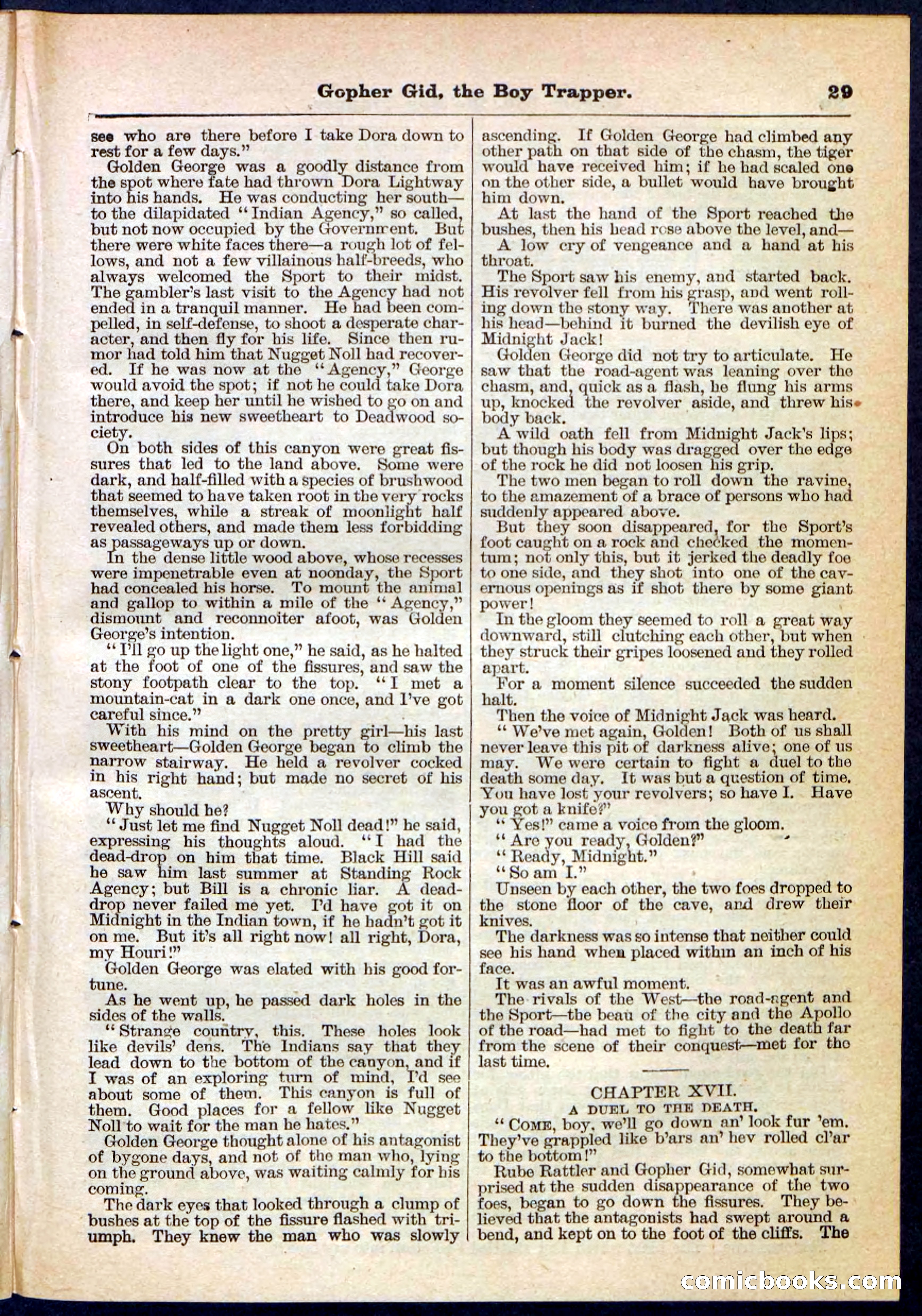 Beadle's Pocket Library No. 120 — page 29 of 32