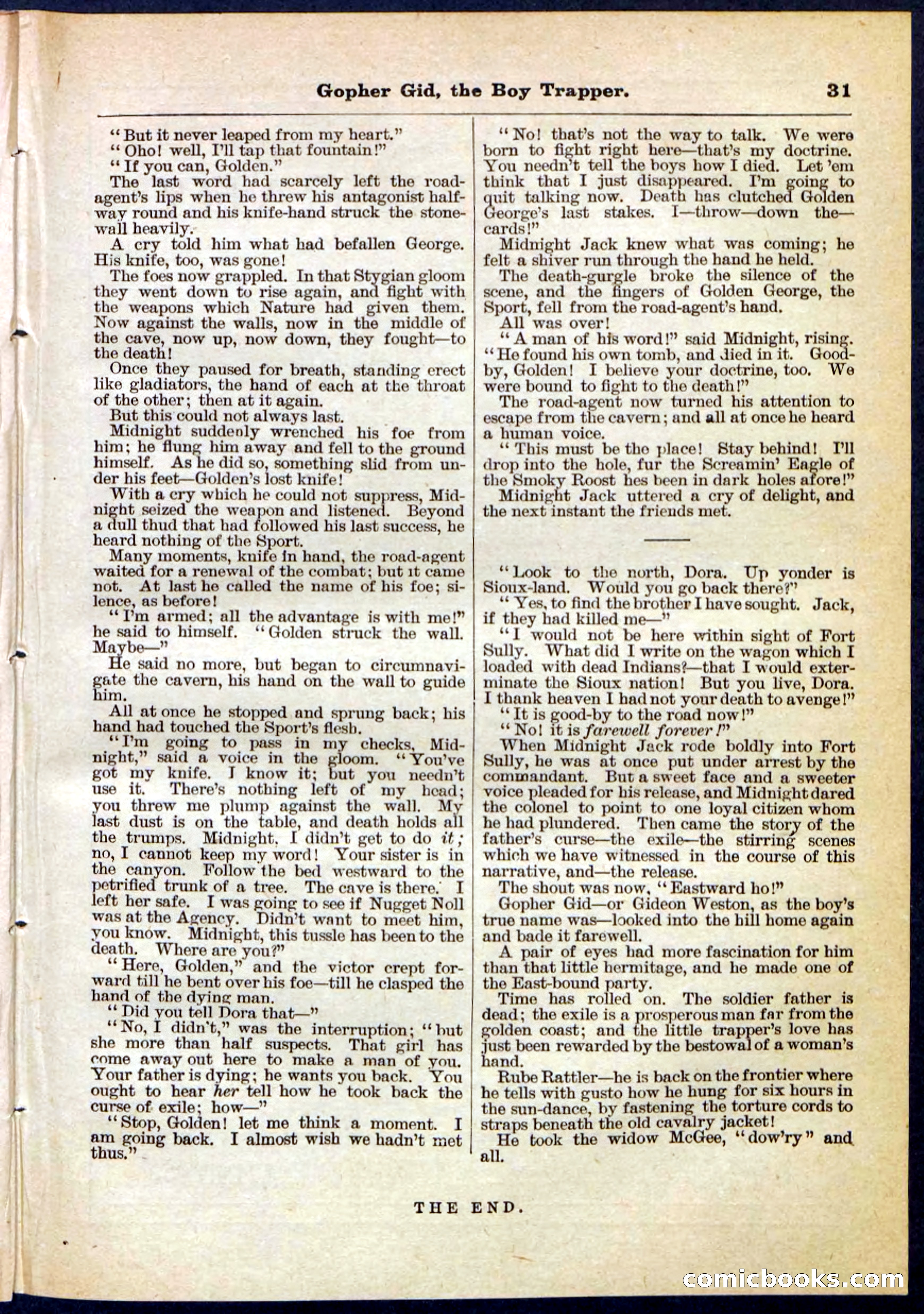 Beadle's Pocket Library No. 120 — page 31 of 32