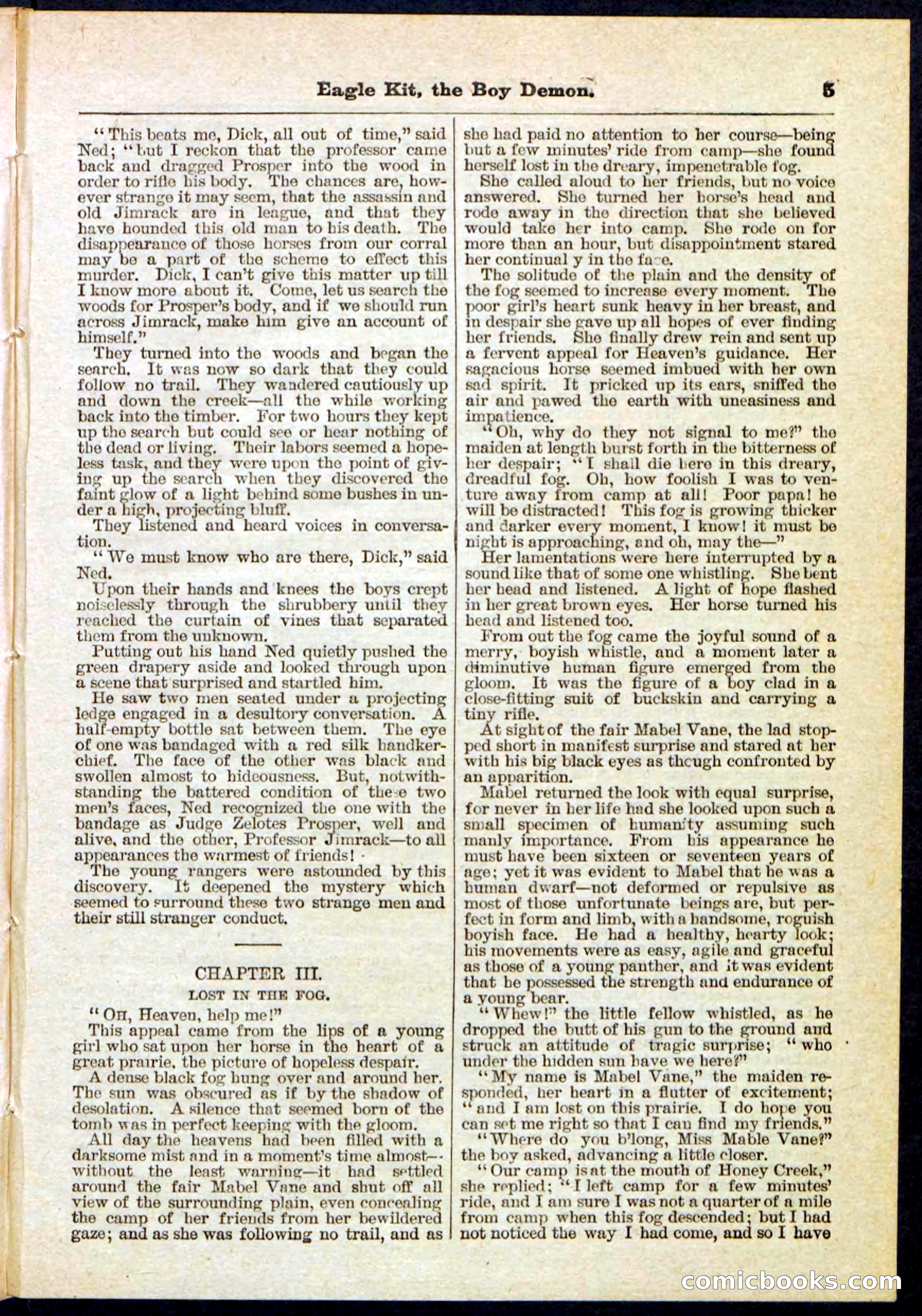 Beadle's Pocket Library No. 129 — page 5 of 32