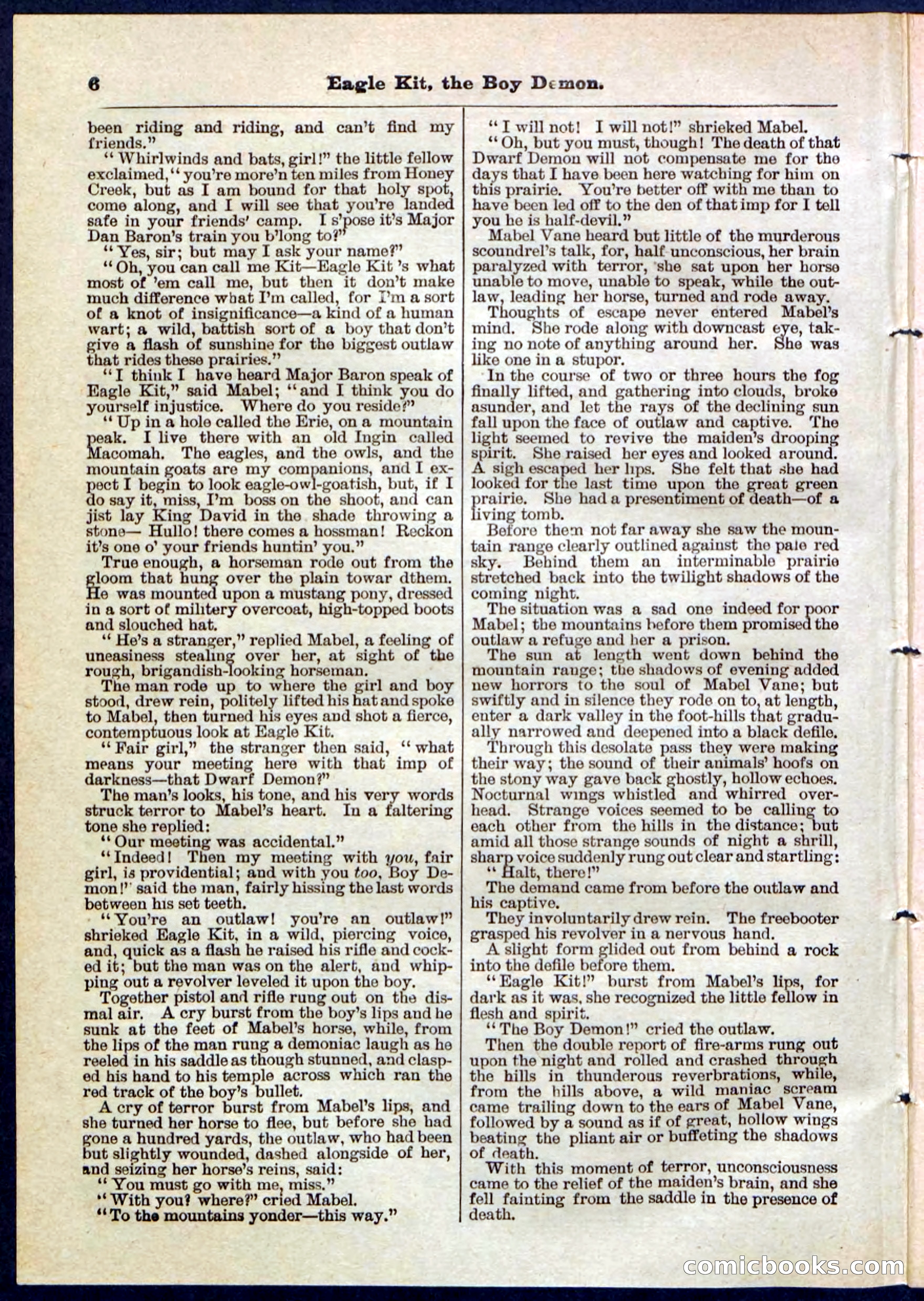 Beadle's Pocket Library No. 129 — page 6 of 32