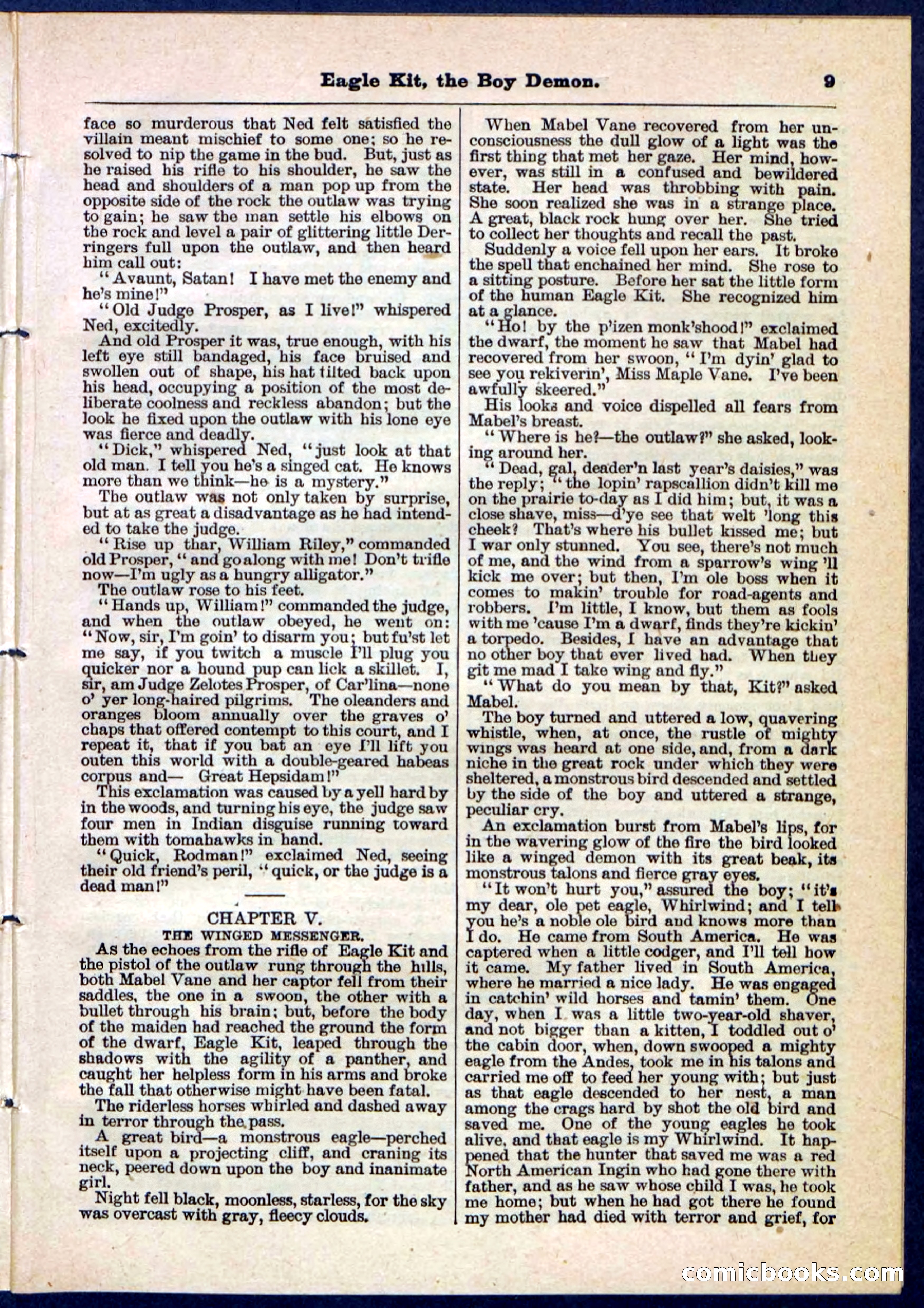Beadle's Pocket Library No. 129 — page 9 of 32