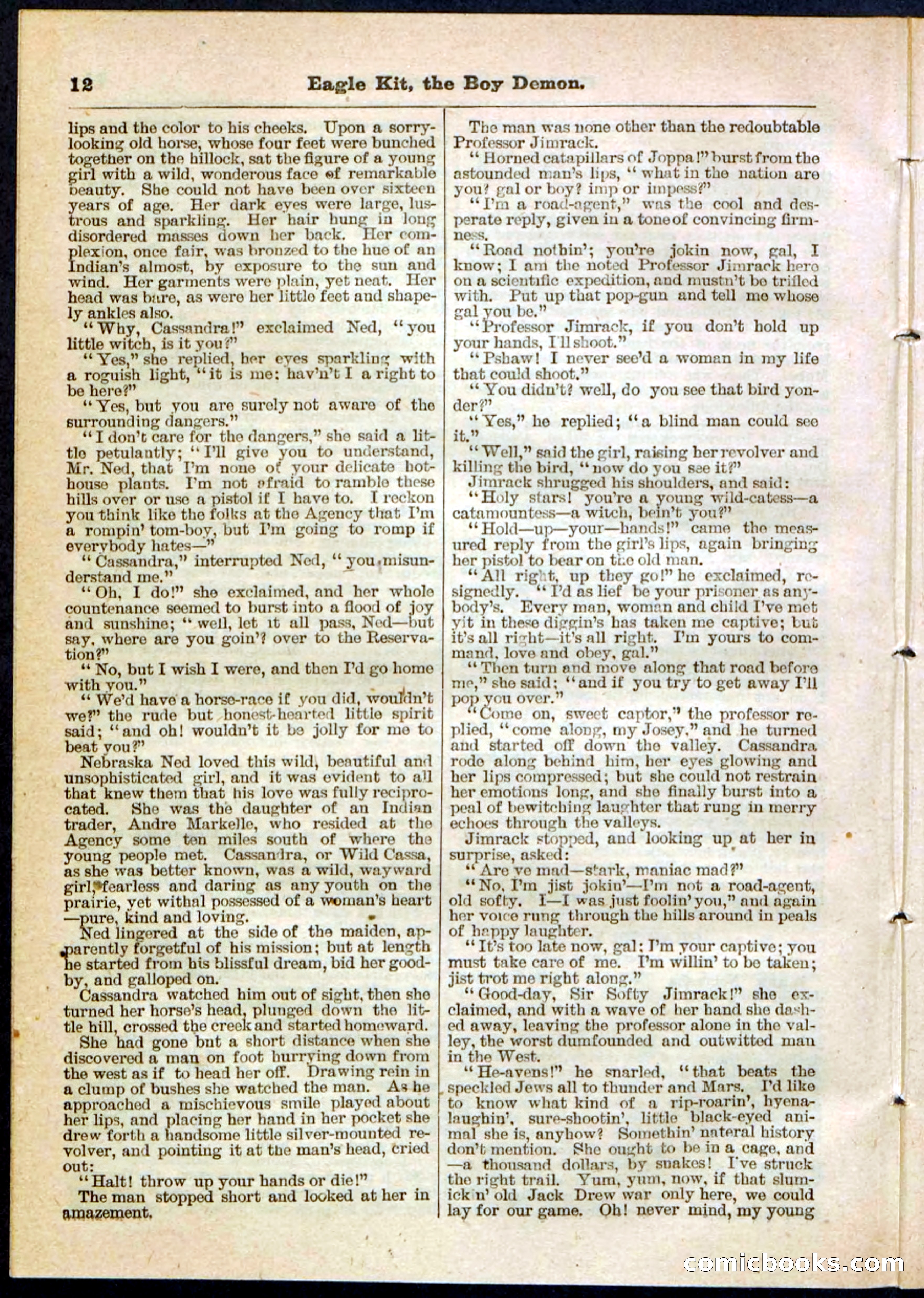Beadle's Pocket Library No. 129 — page 12 of 32