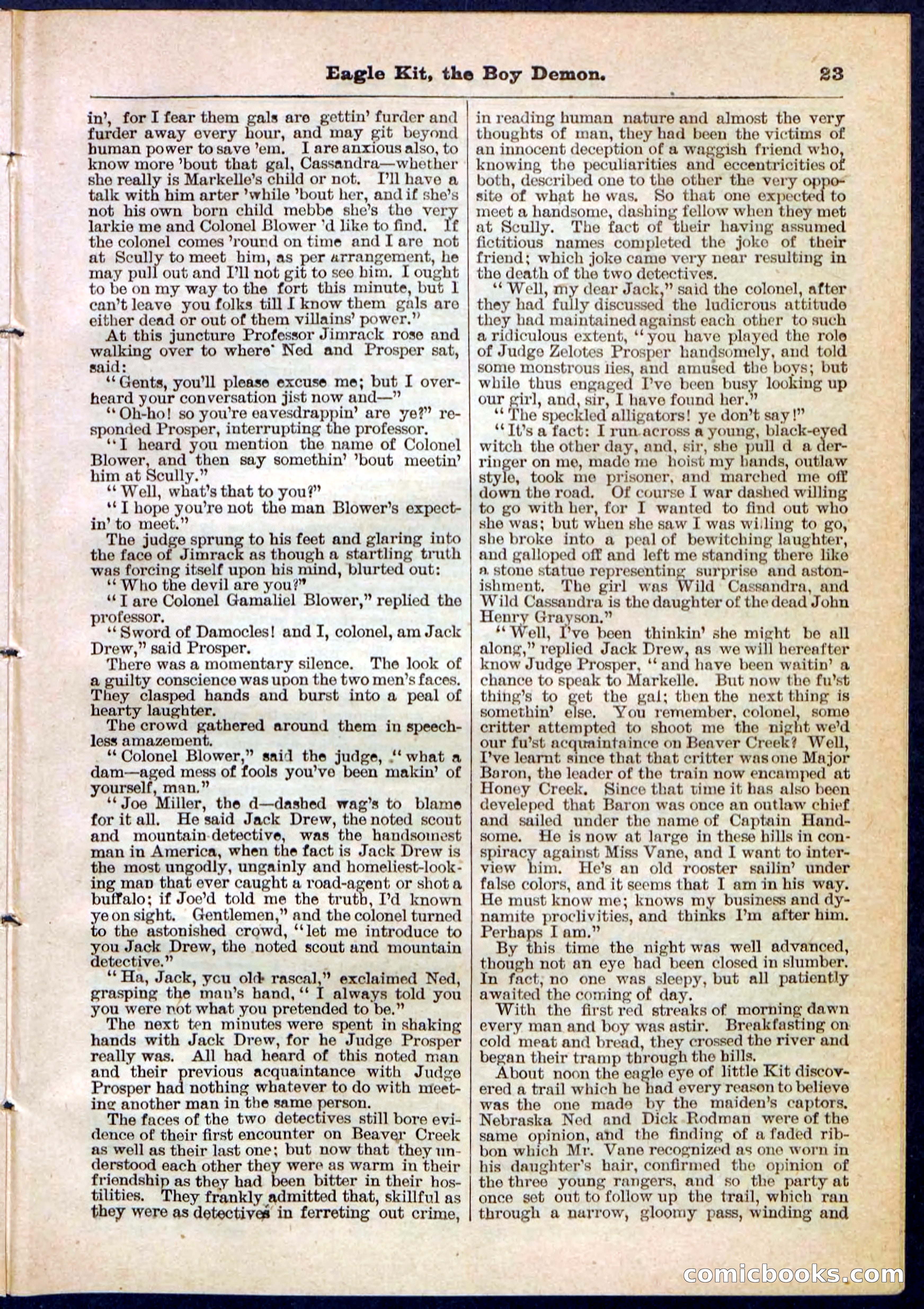Beadle's Pocket Library No. 129 — page 23 of 32