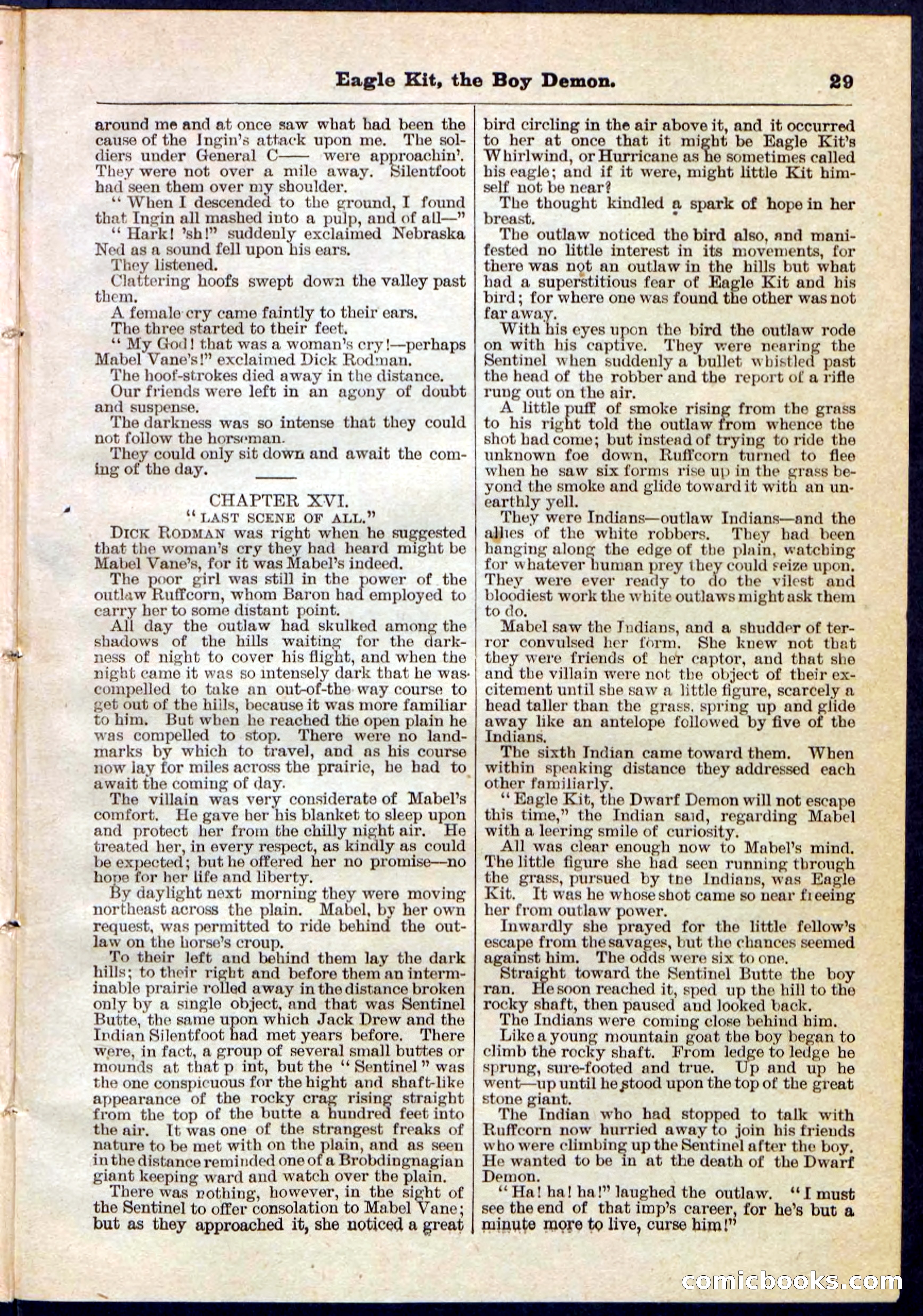 Beadle's Pocket Library No. 129 — page 29 of 32