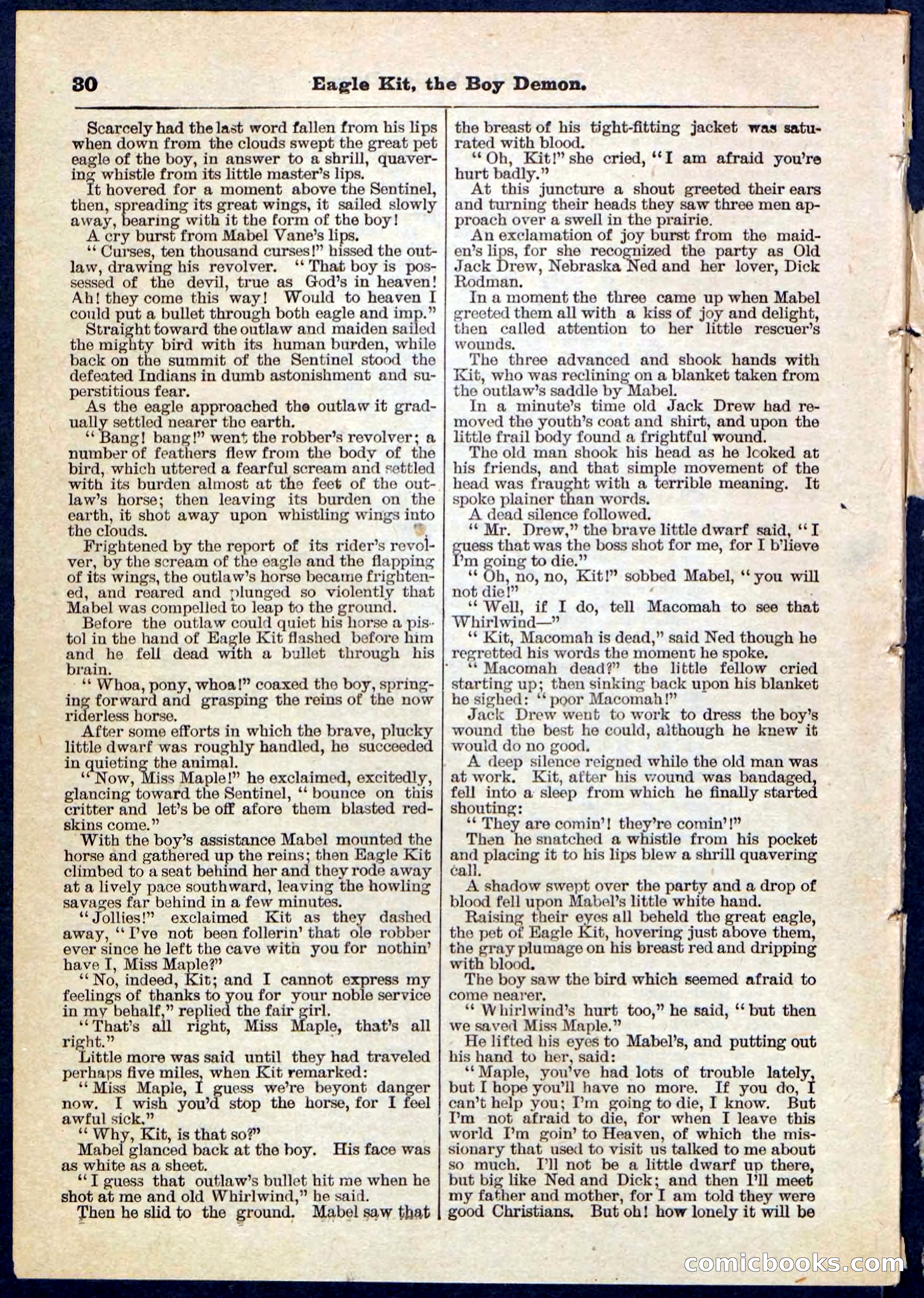 Beadle's Pocket Library No. 129 — page 30 of 32