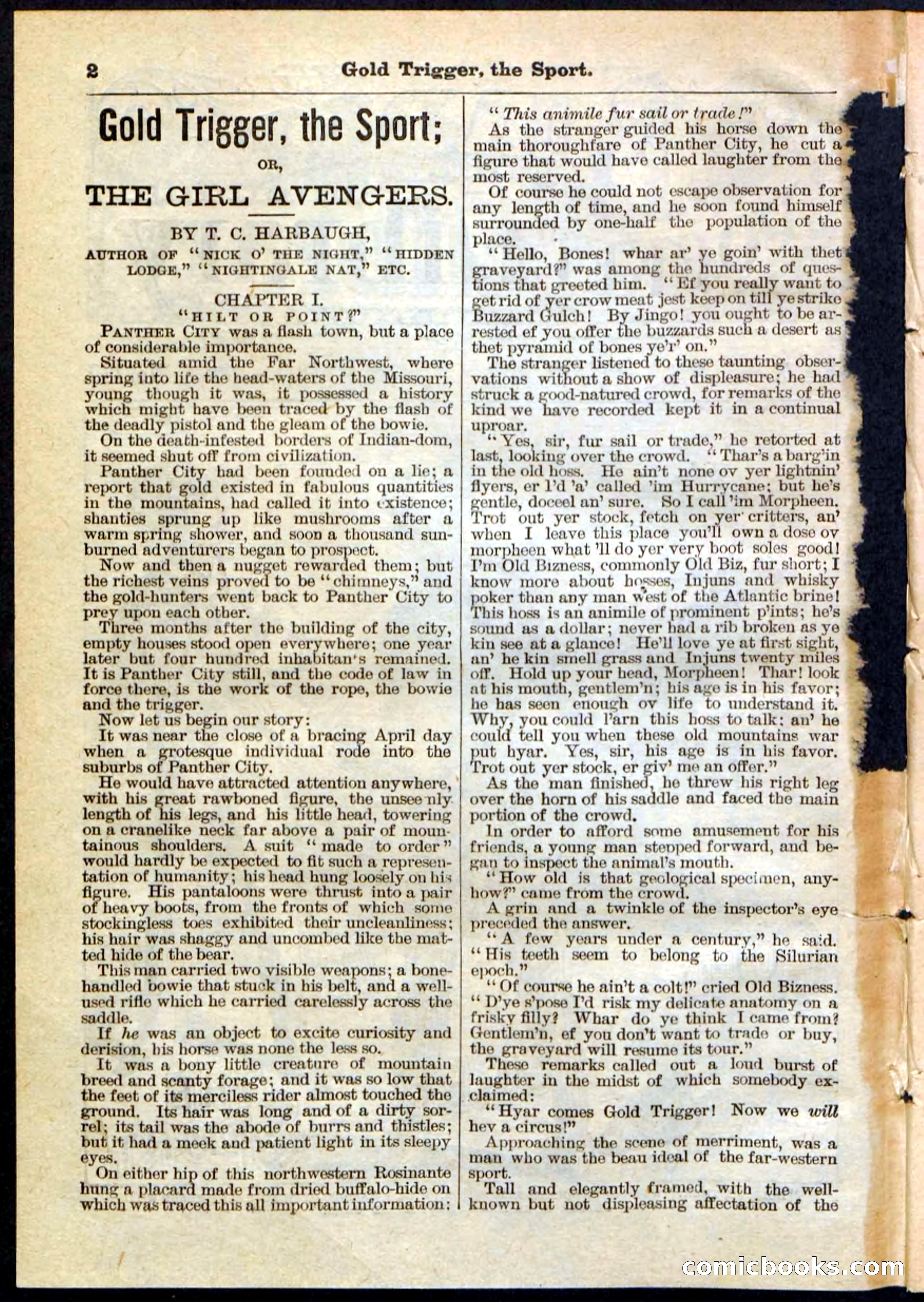 Beadle's Pocket Library No. 130 — page 2 of 32