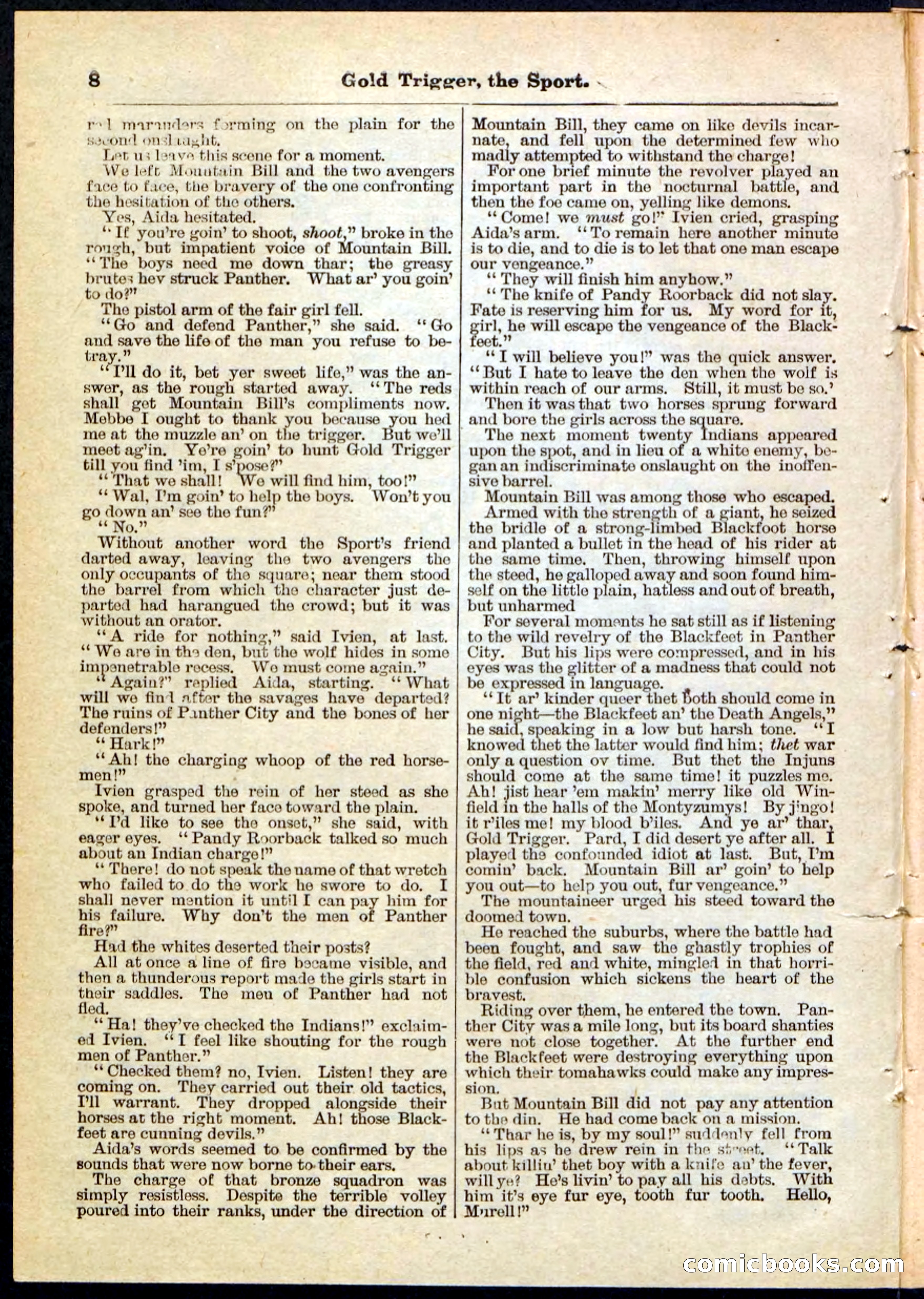 Beadle's Pocket Library No. 130 — page 8 of 32