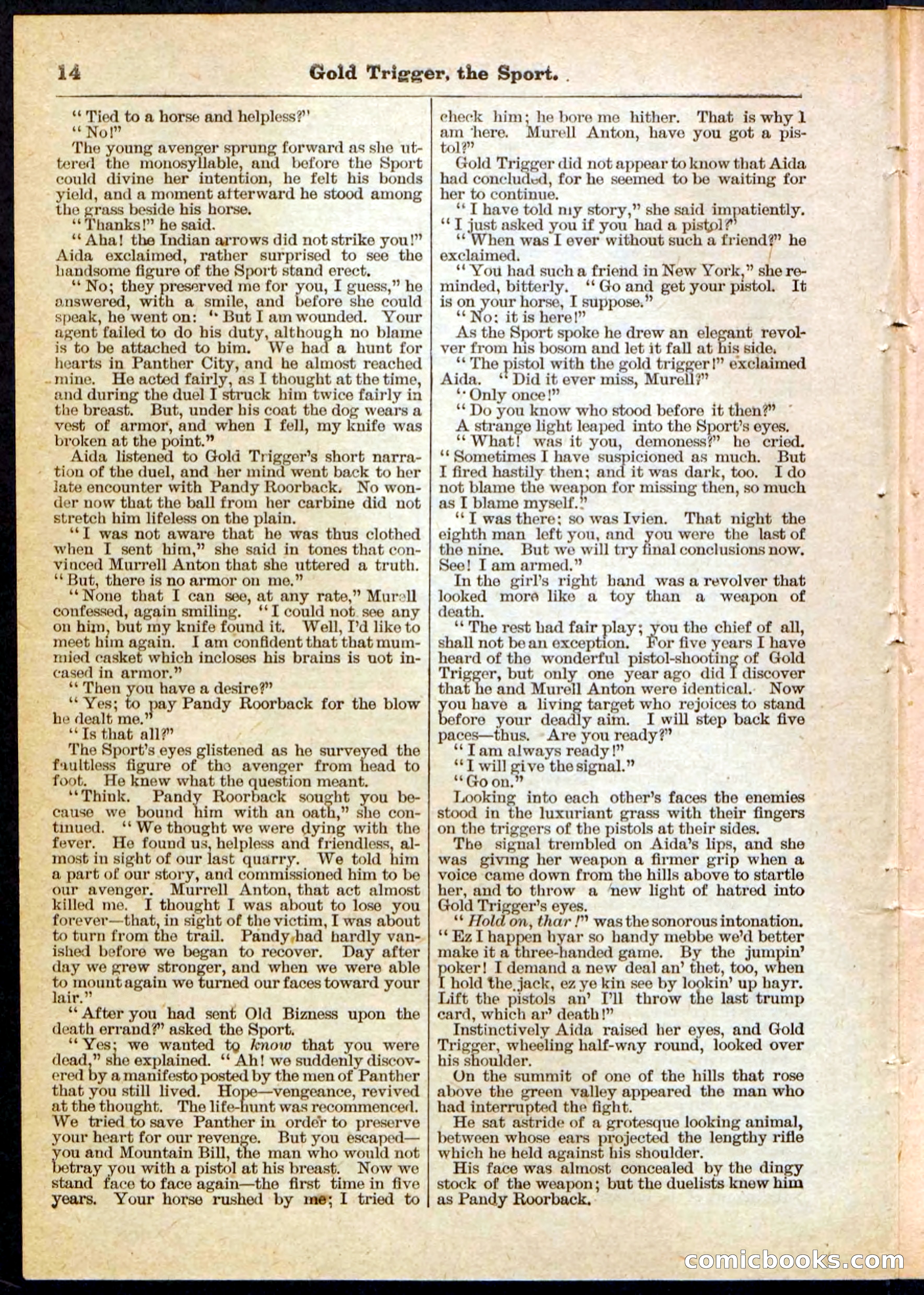 Beadle's Pocket Library No. 130 — page 14 of 32