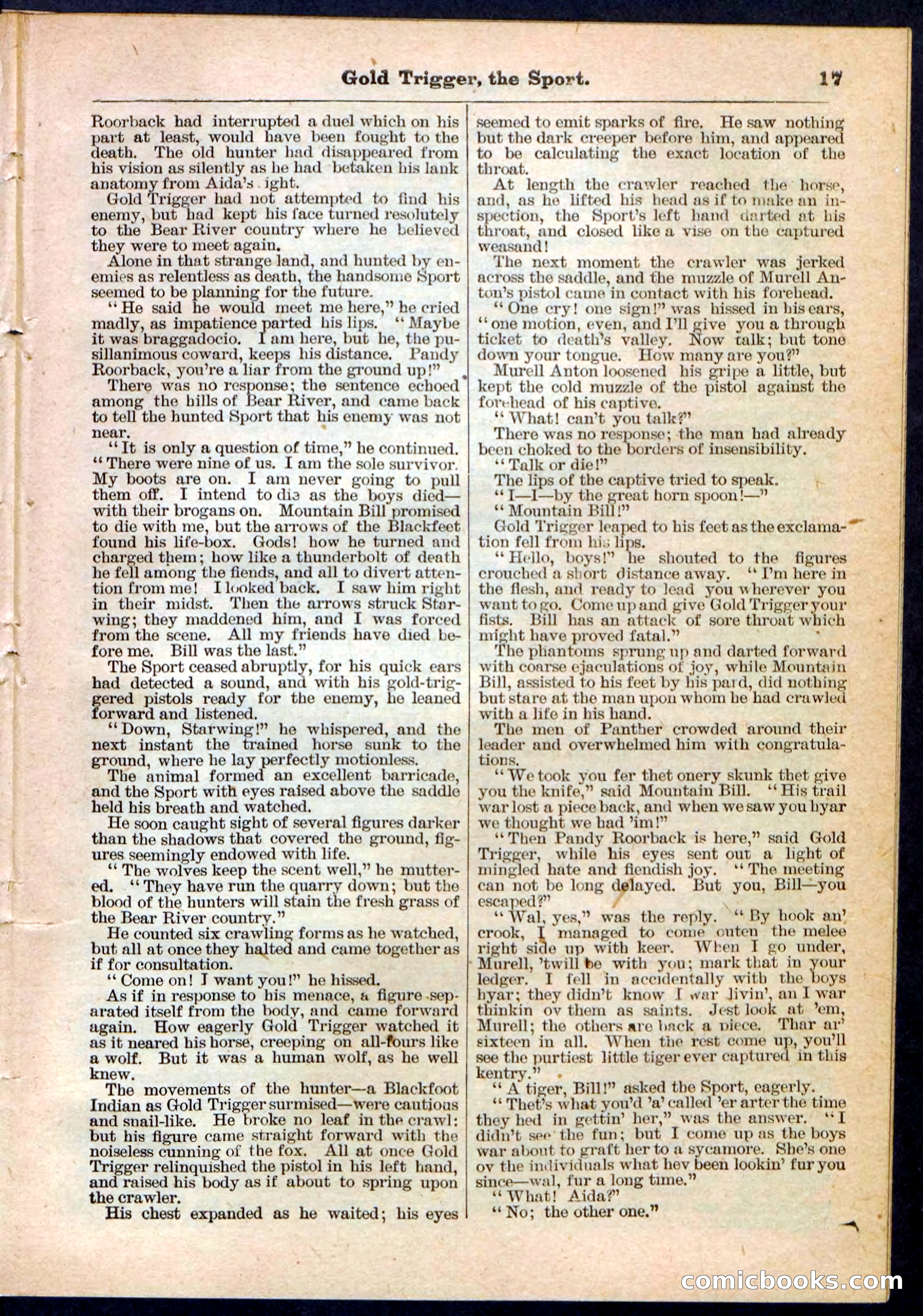 Beadle's Pocket Library No. 130 — page 17 of 32