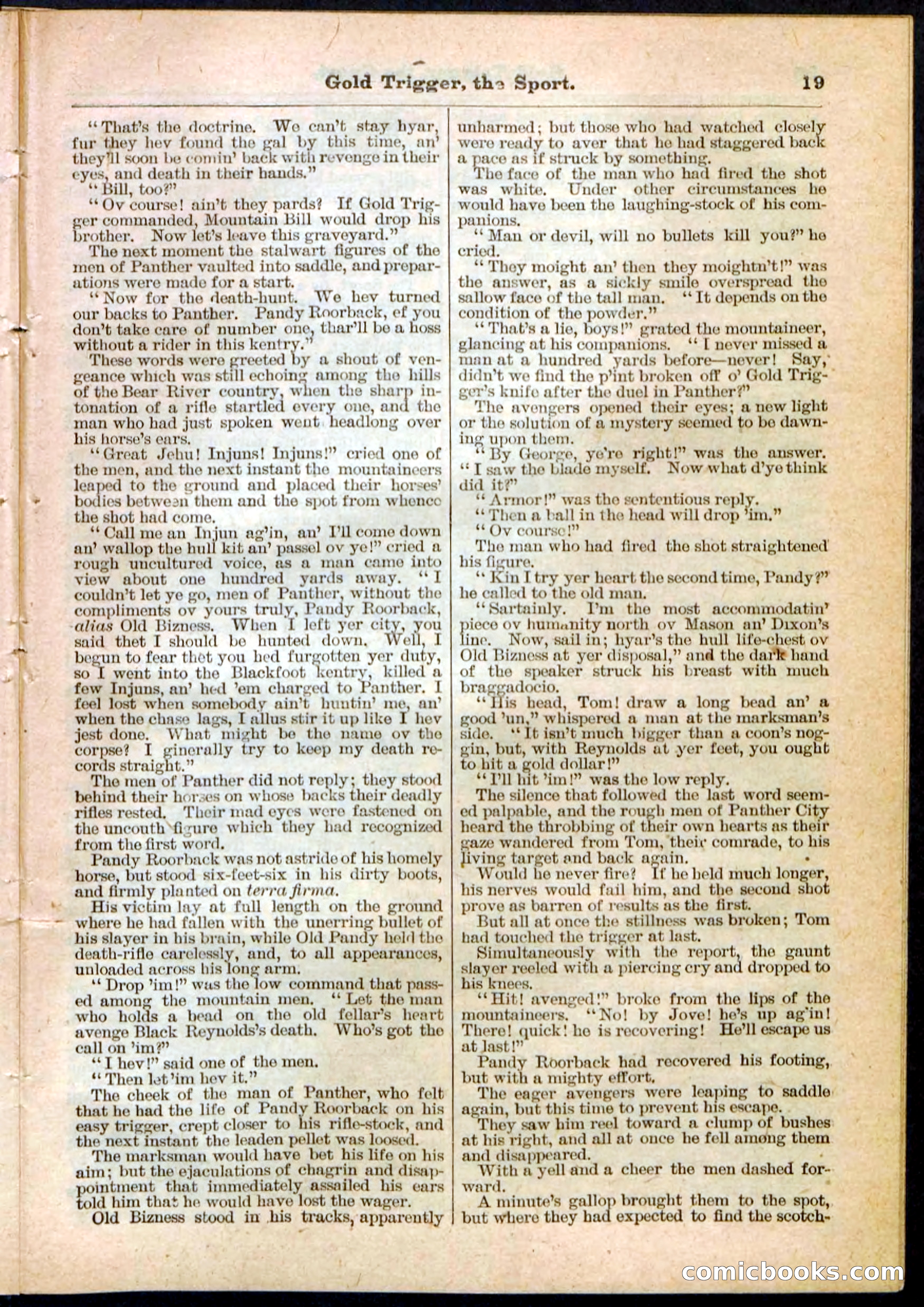 Beadle's Pocket Library No. 130 — page 19 of 32