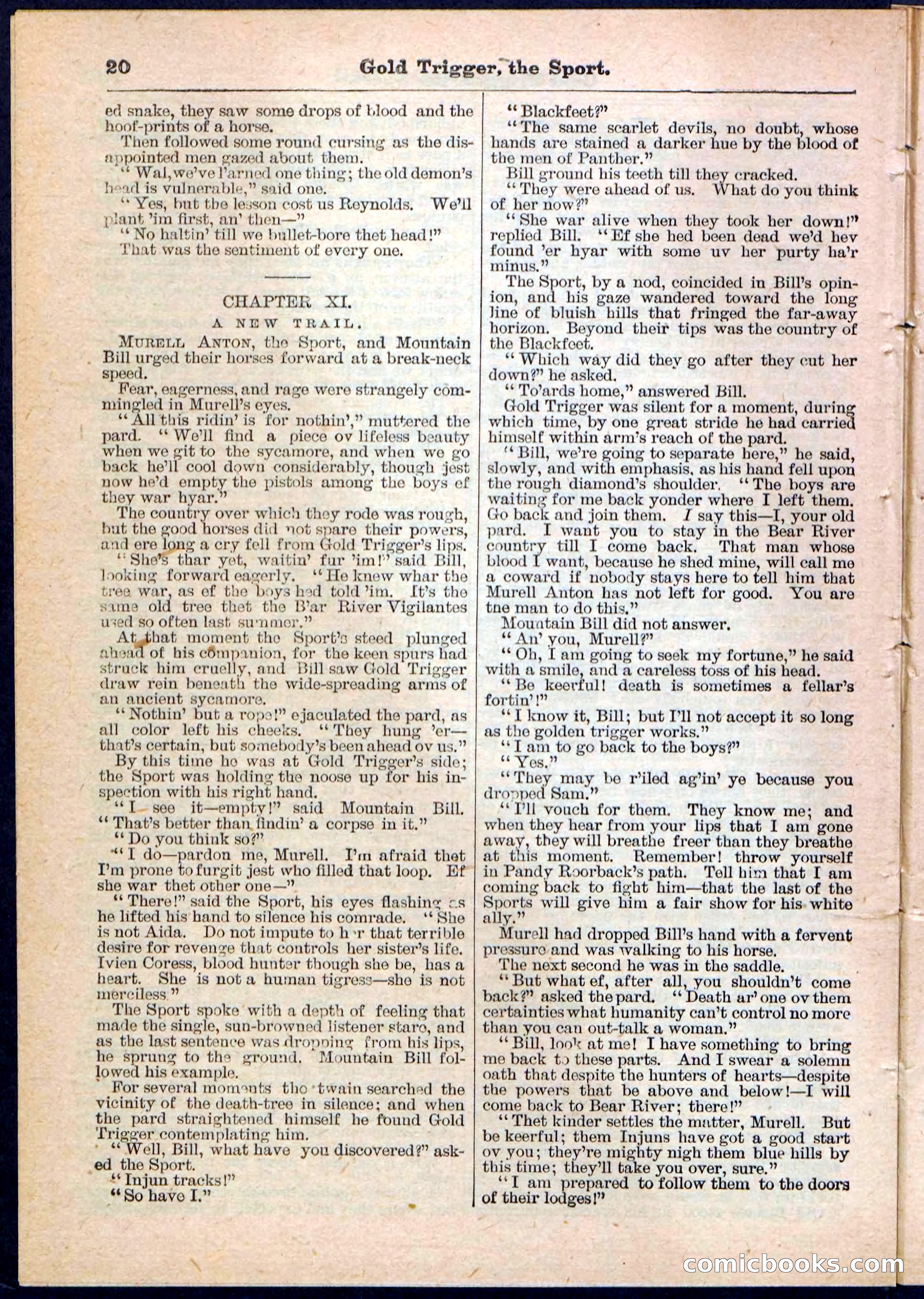 Beadle's Pocket Library No. 130 — page 20 of 32