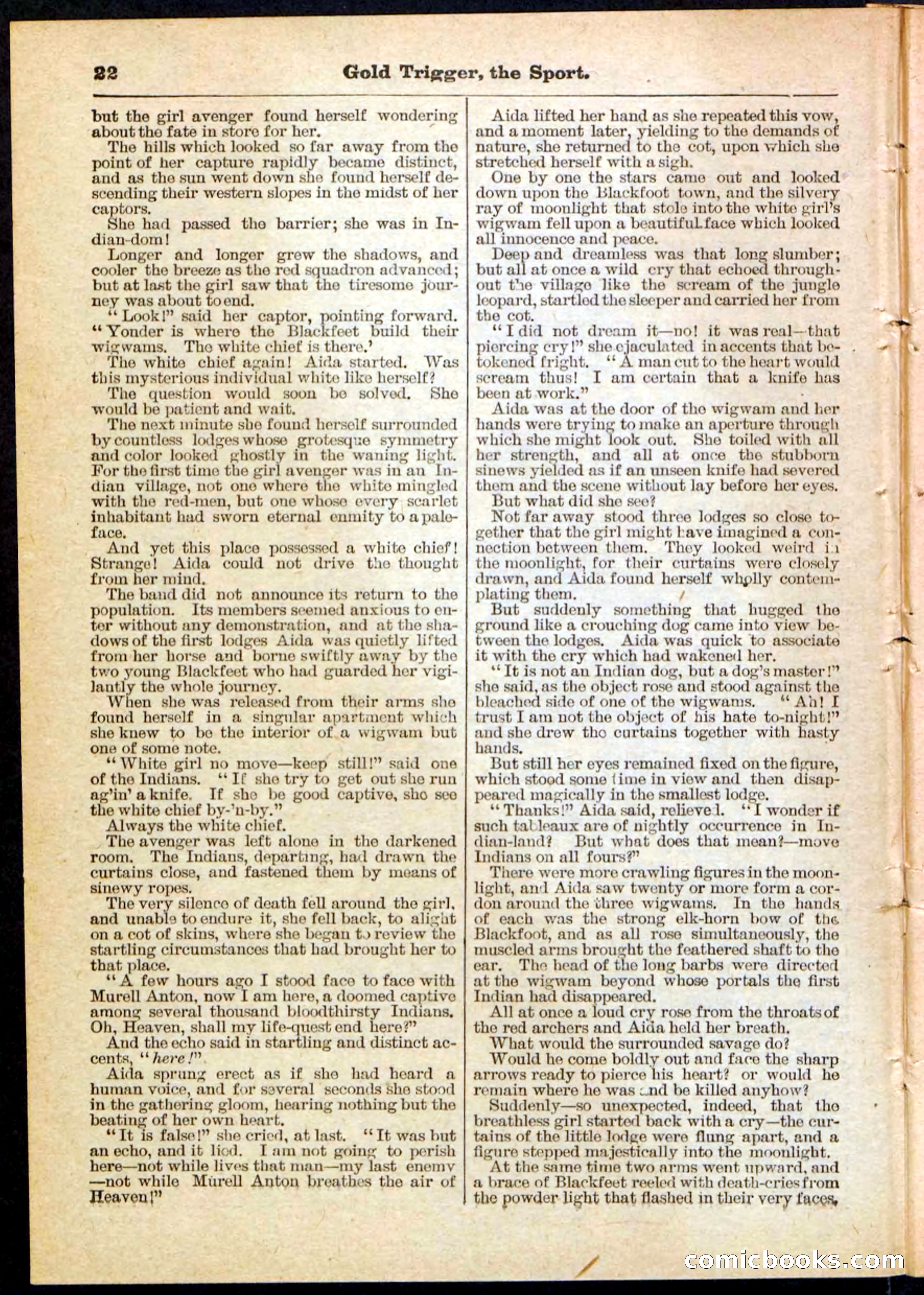 Beadle's Pocket Library No. 130 — page 22 of 32